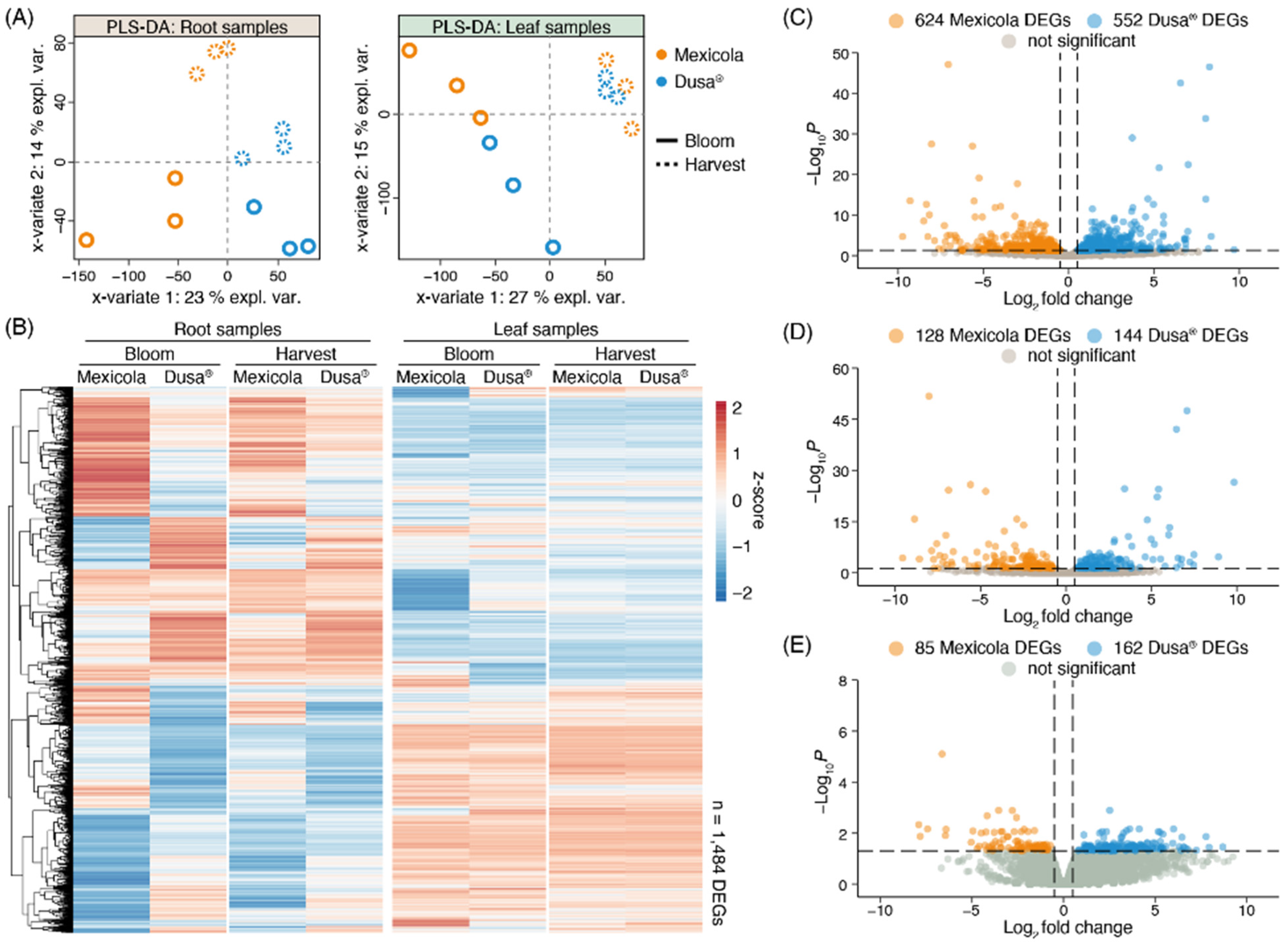Plants 13 00603 g002