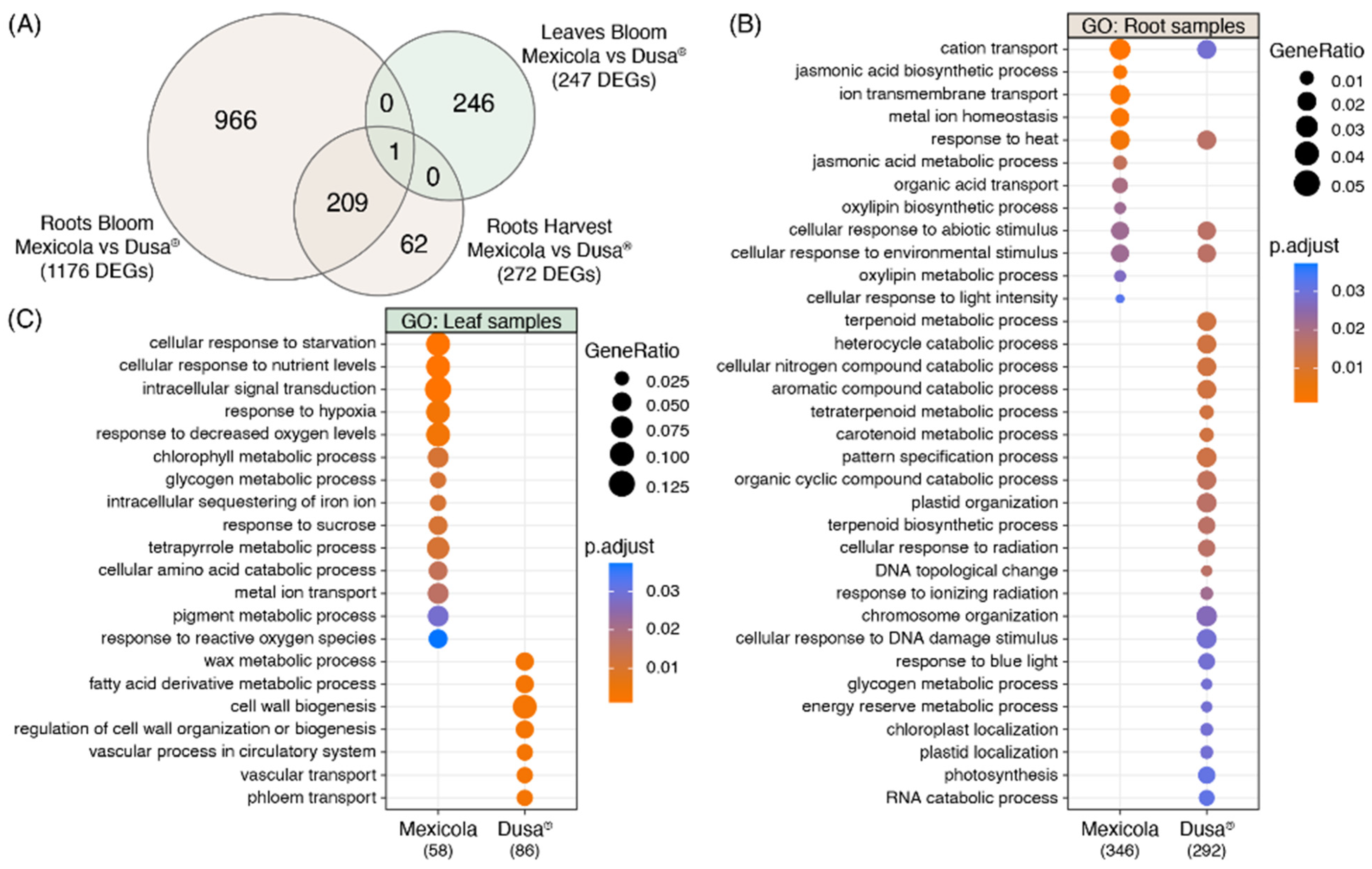 Plants 13 00603 g003