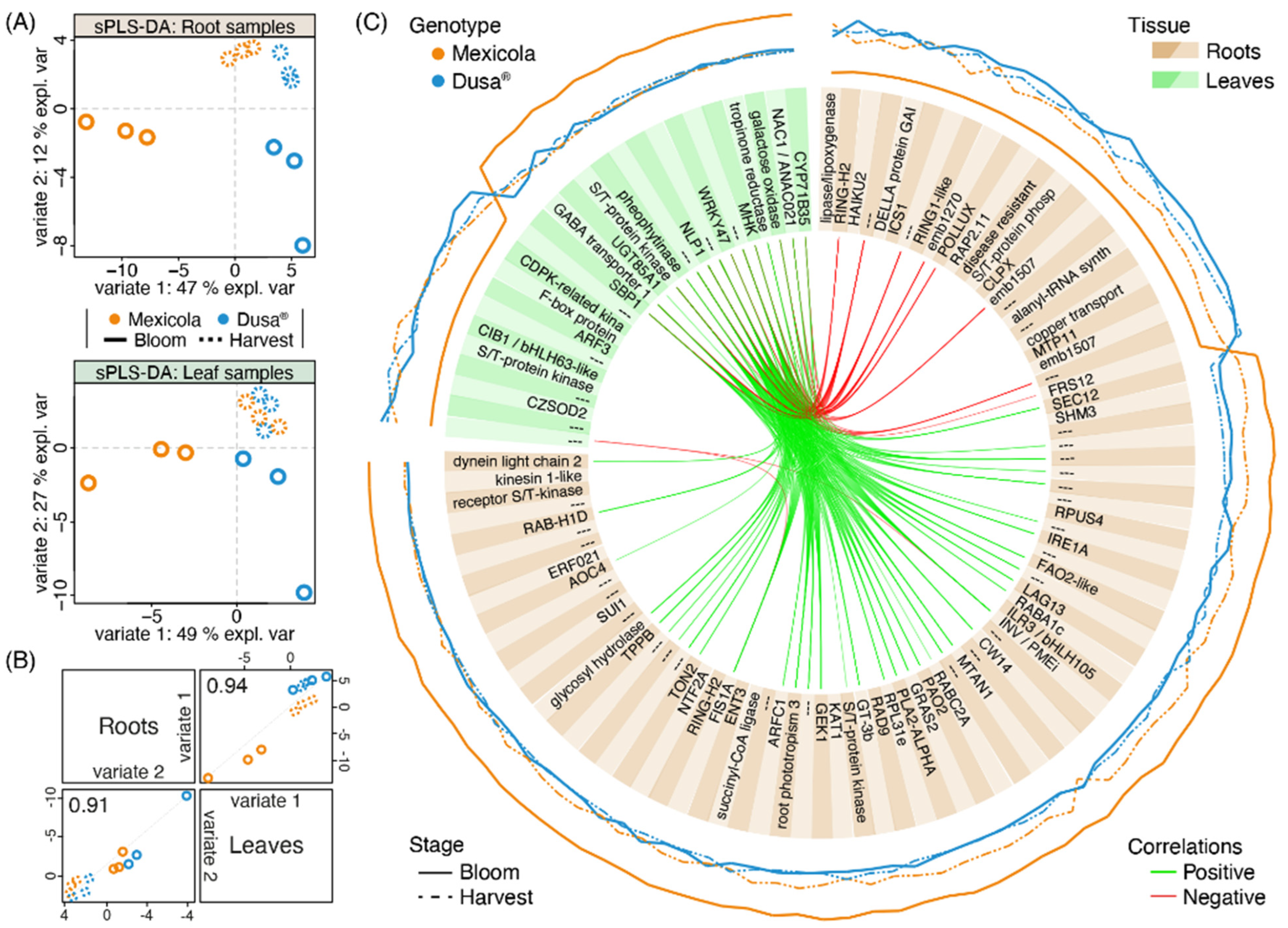 Plants 13 00603 g004
