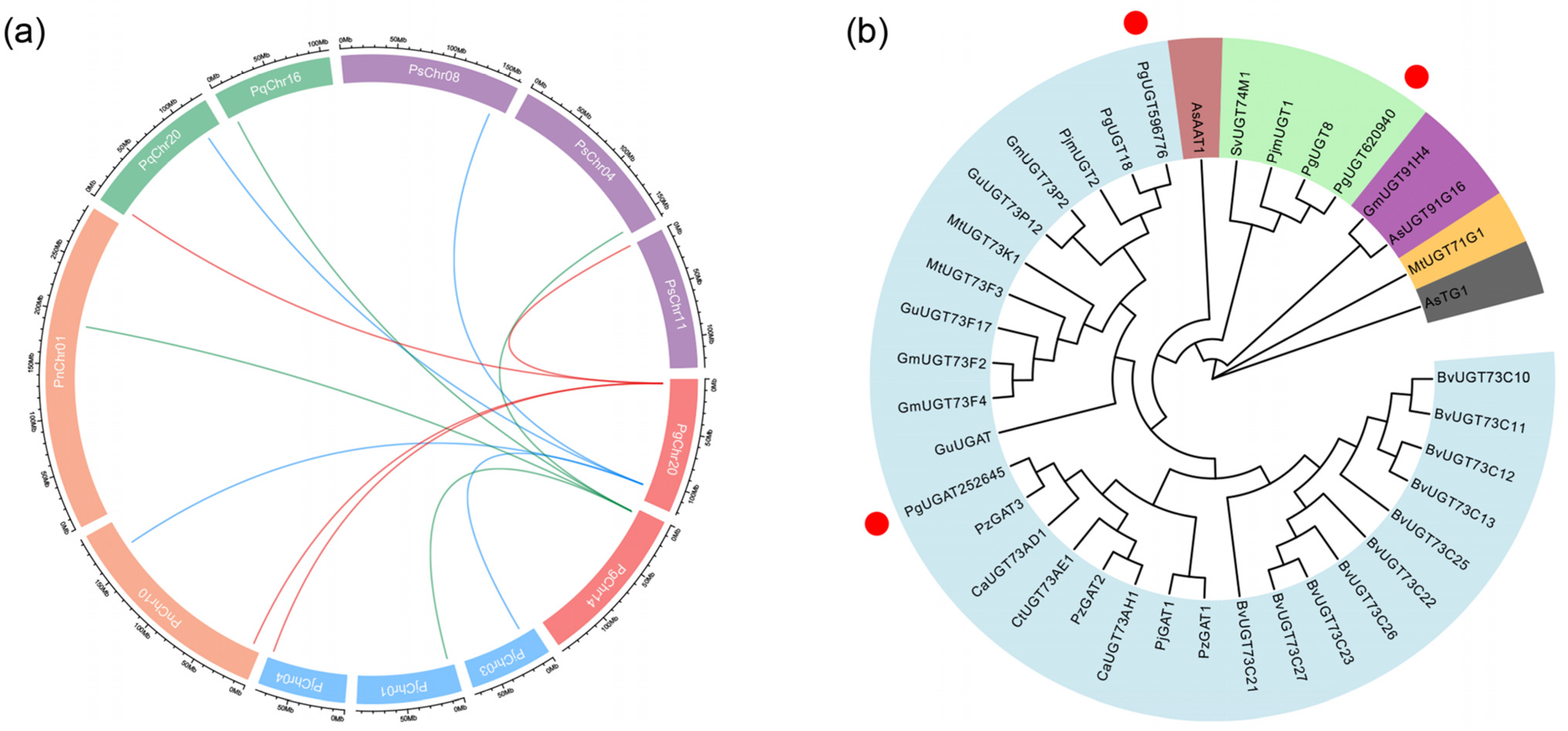 Plants 13 00604 g007