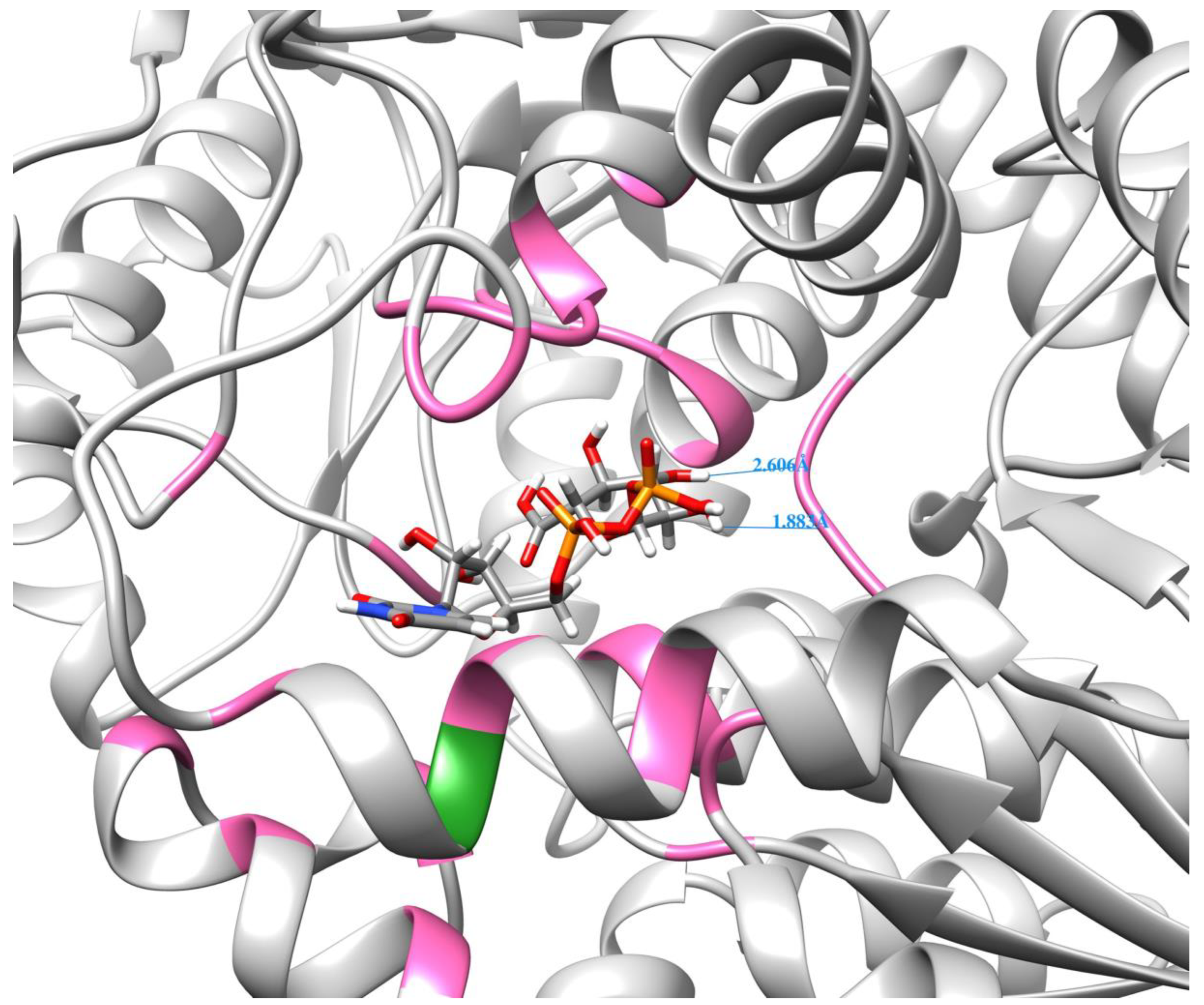 Plants 13 00604 g009