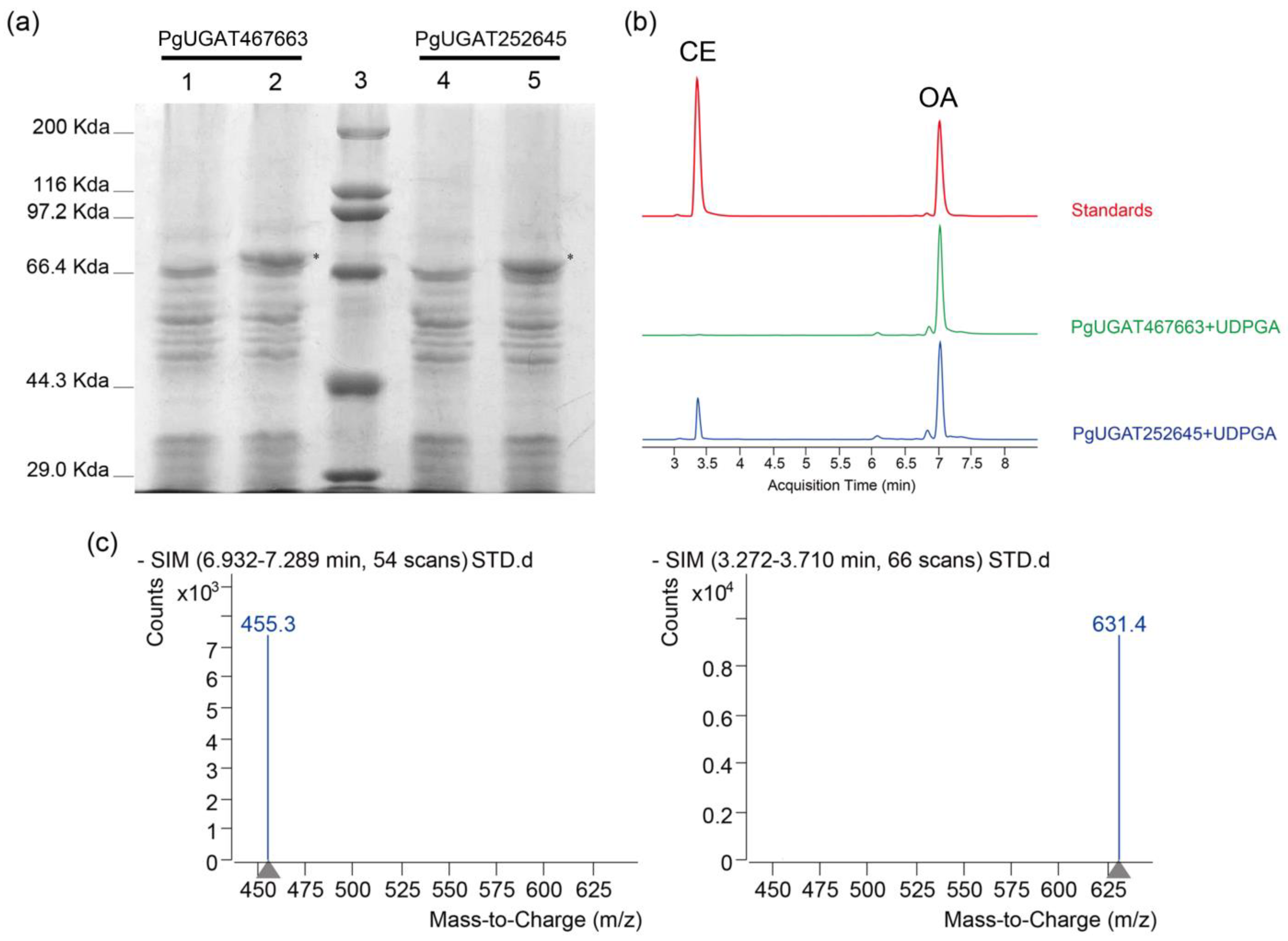 Plants 13 00604 g010