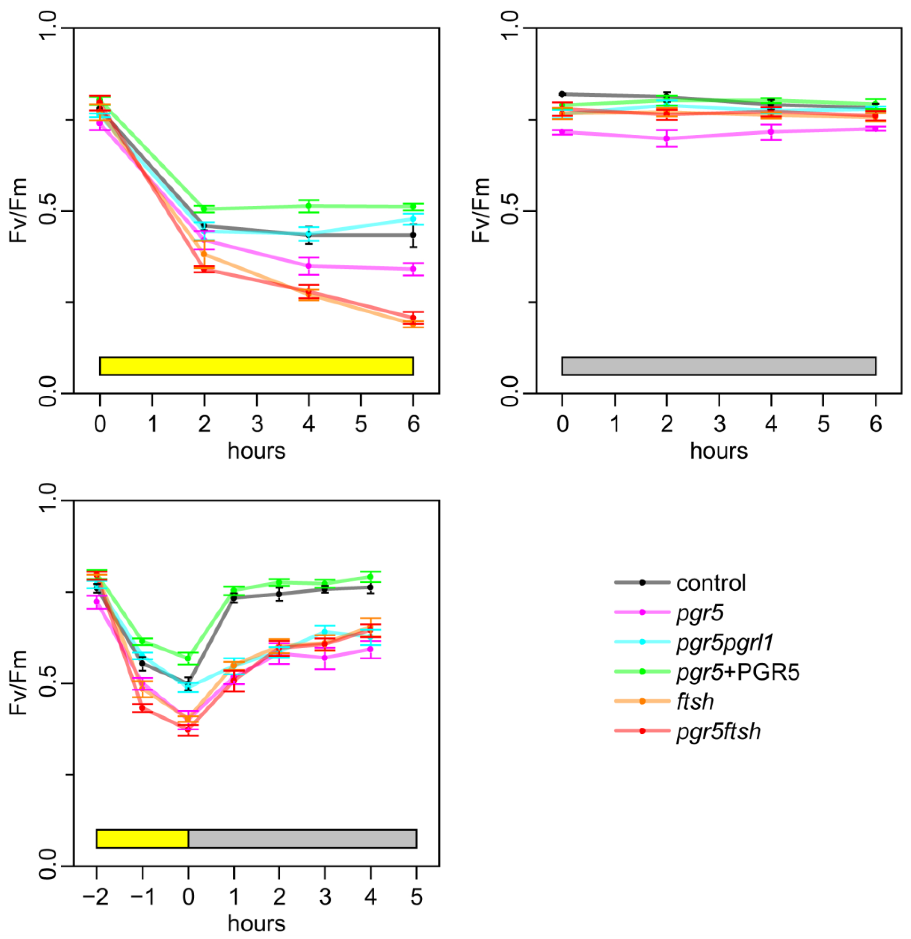 Plants 13 00606 g002 Plants 13 00606 g002
