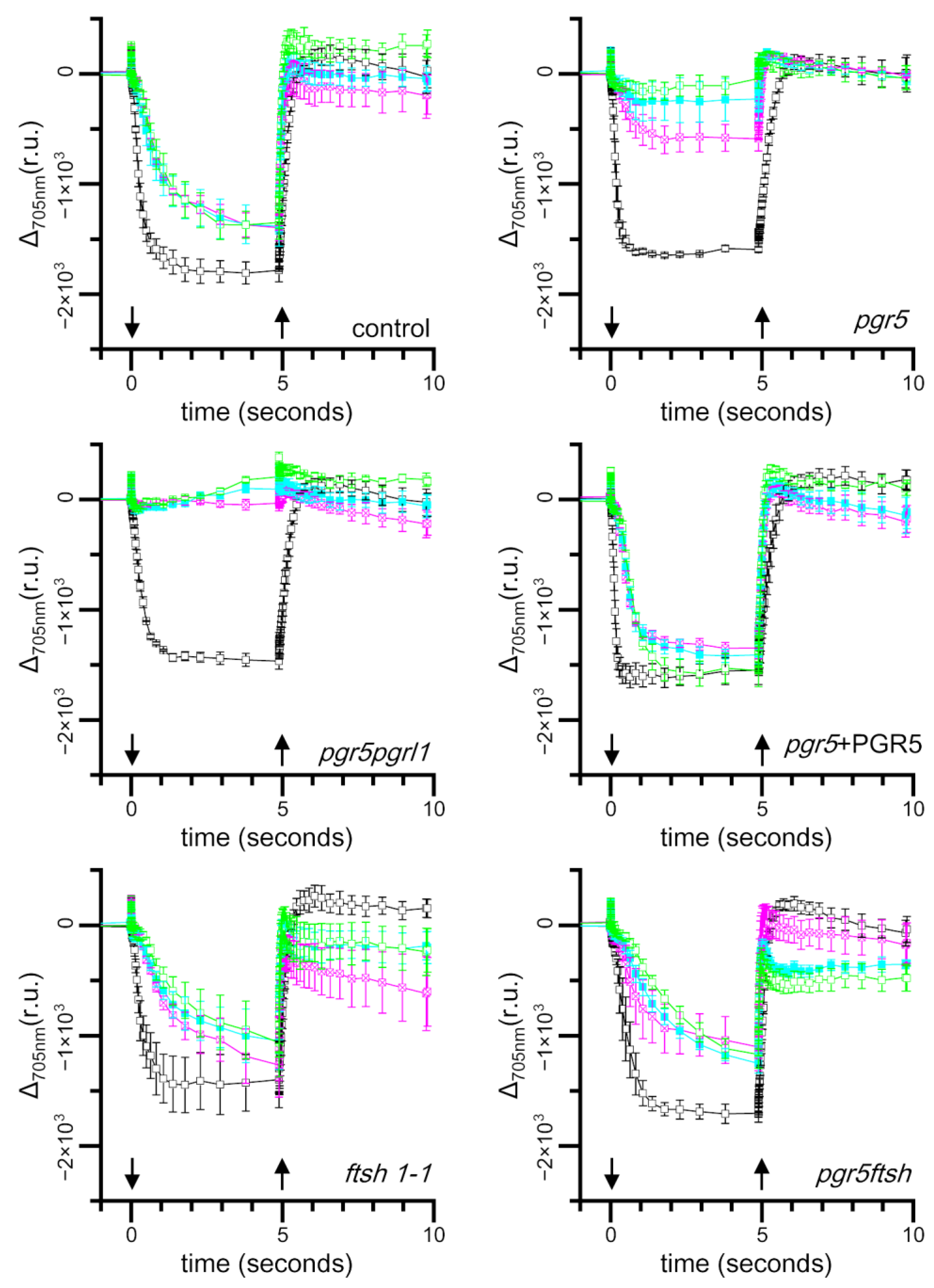 Plants 13 00606 g003 Plants 13 00606 g003