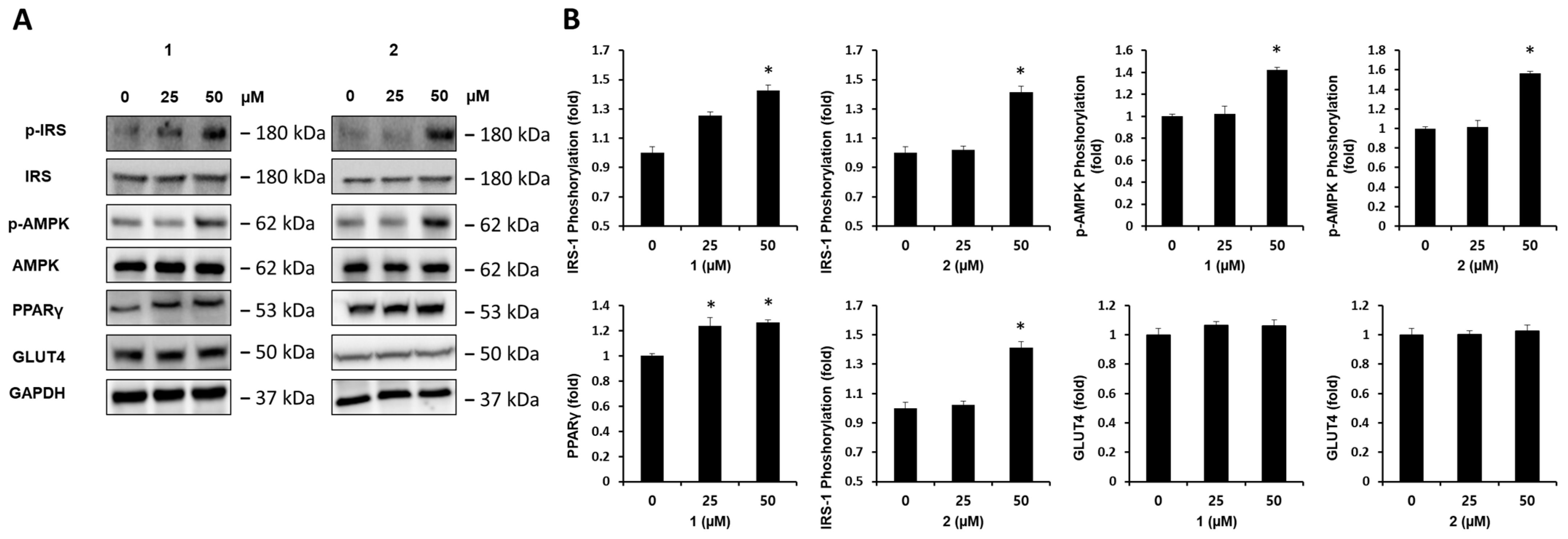 Plants 13 00608 g004