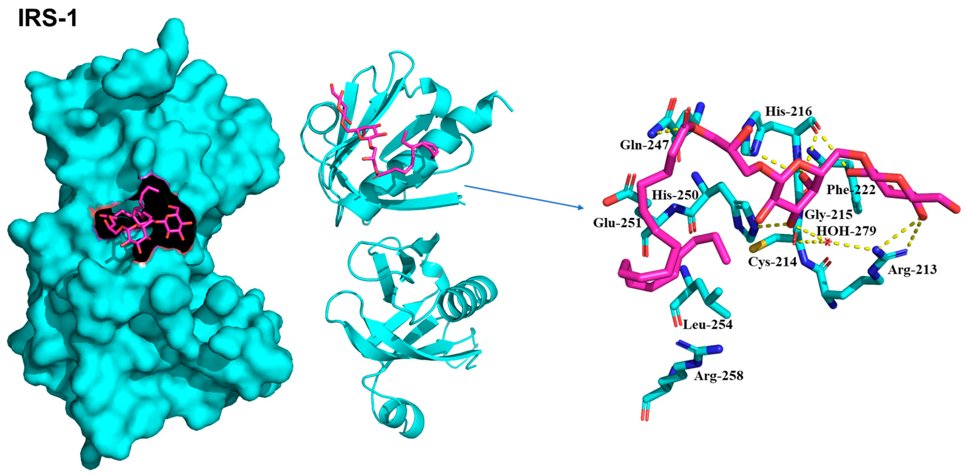 Plants 13 00608 g005