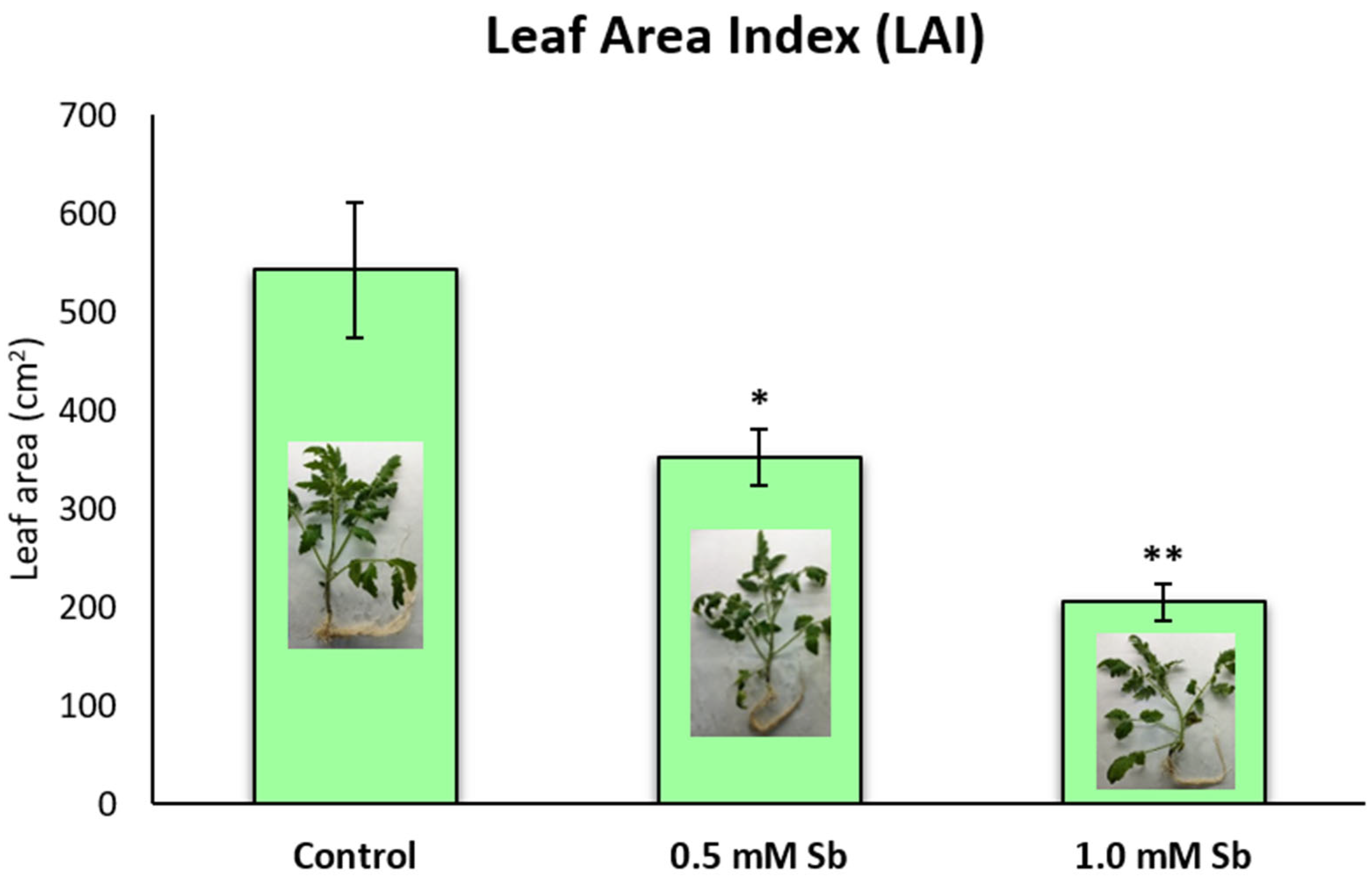 Plants 13 00609 g002