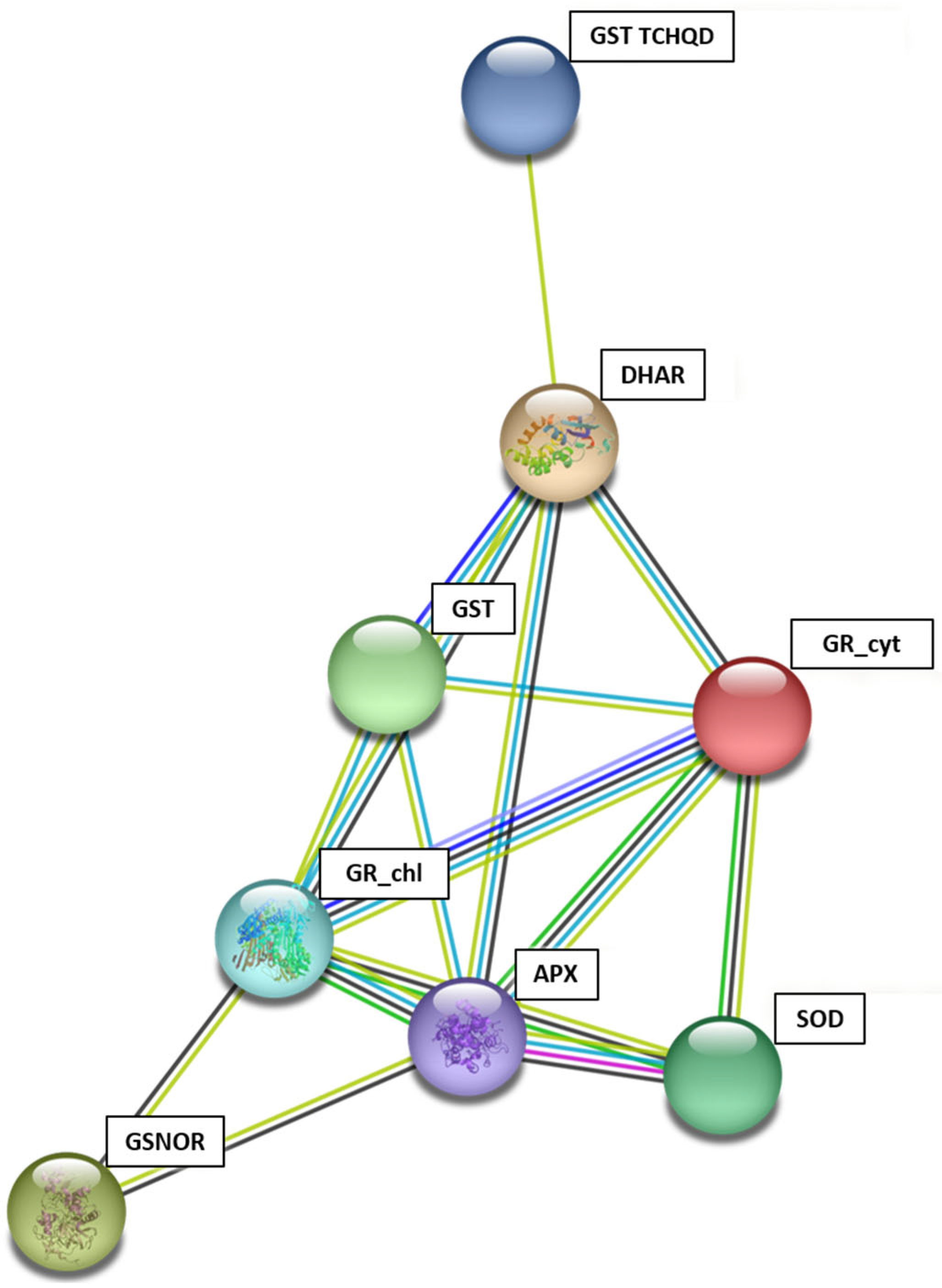 Plants 13 00609 g007