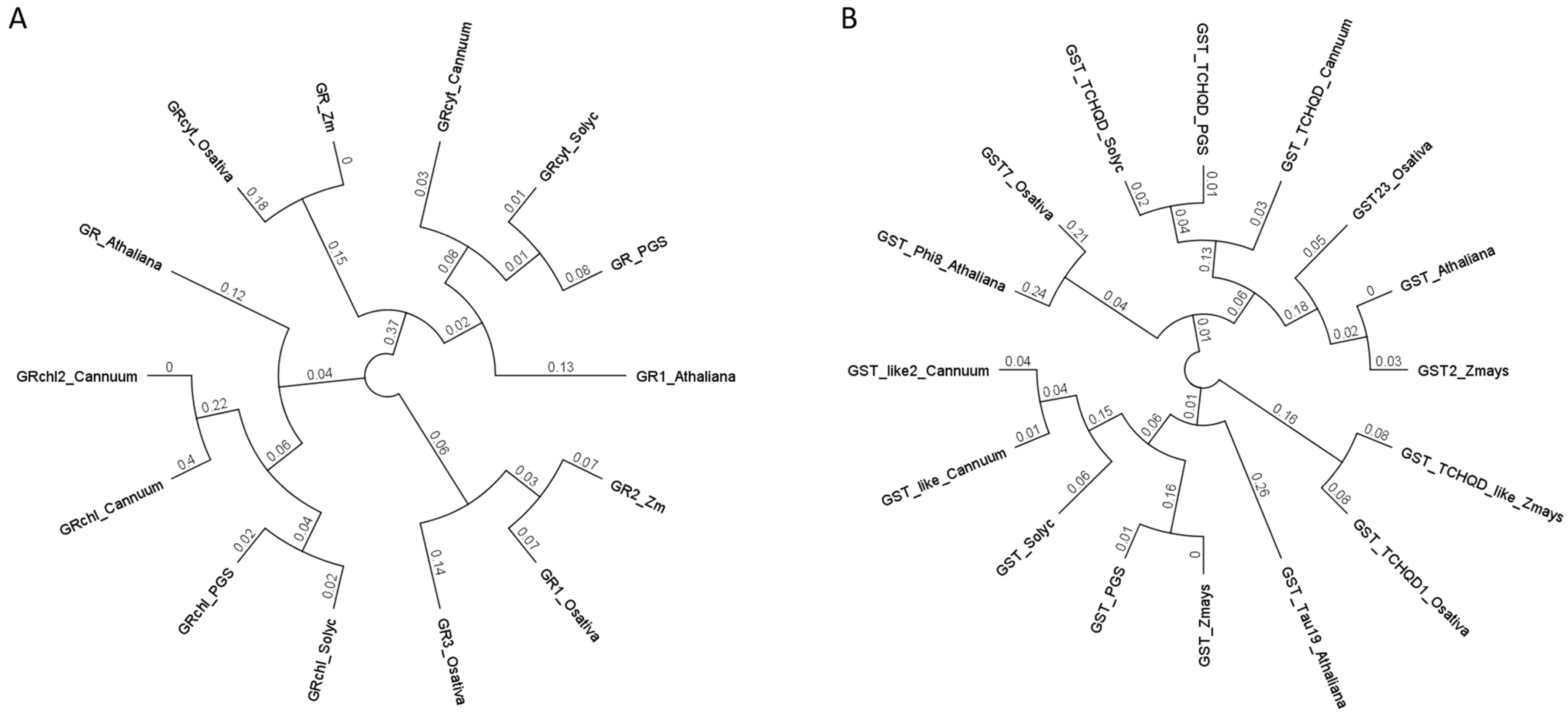 Plants 13 00609 g008