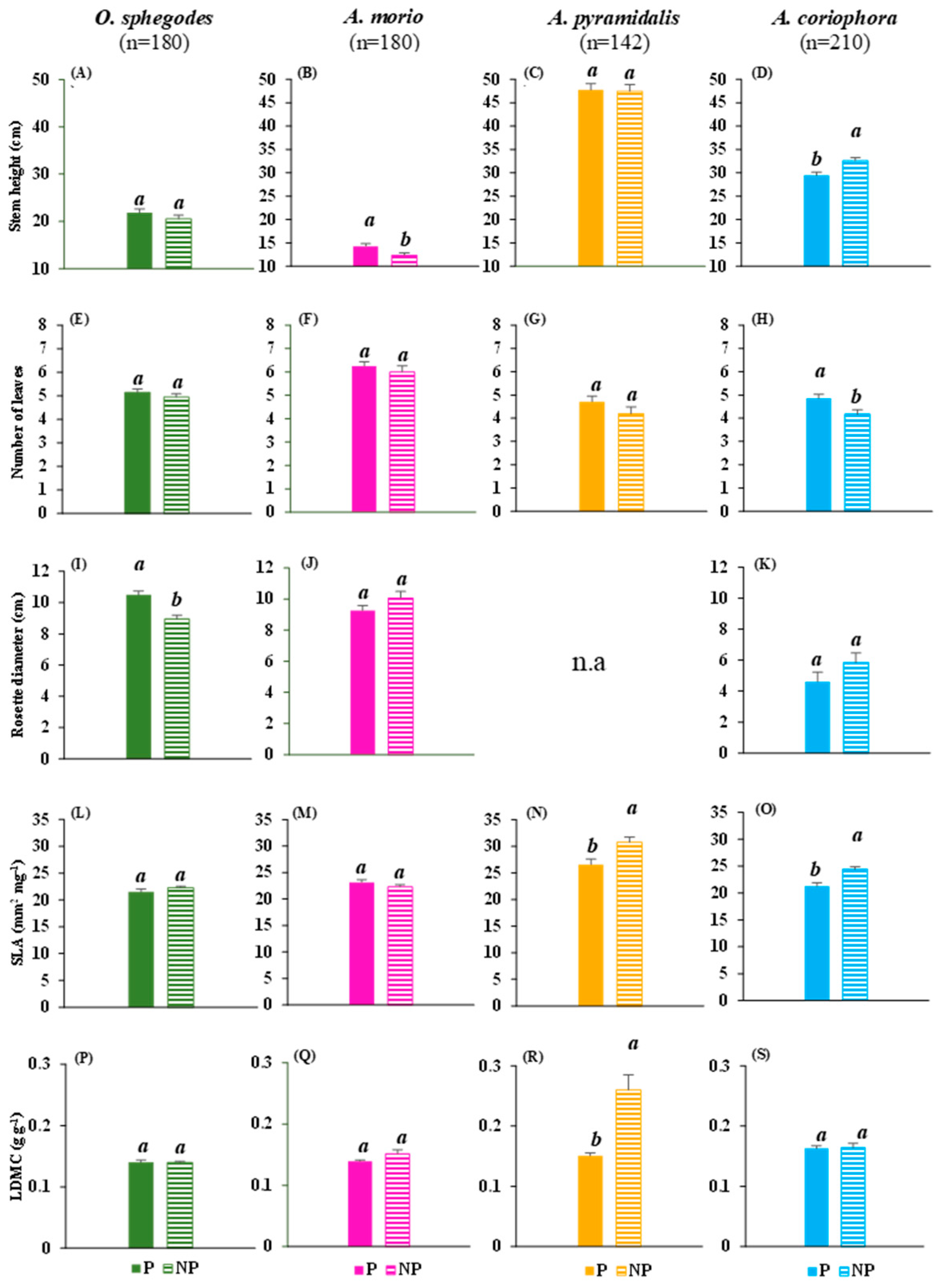 Plants 13 00610 g001