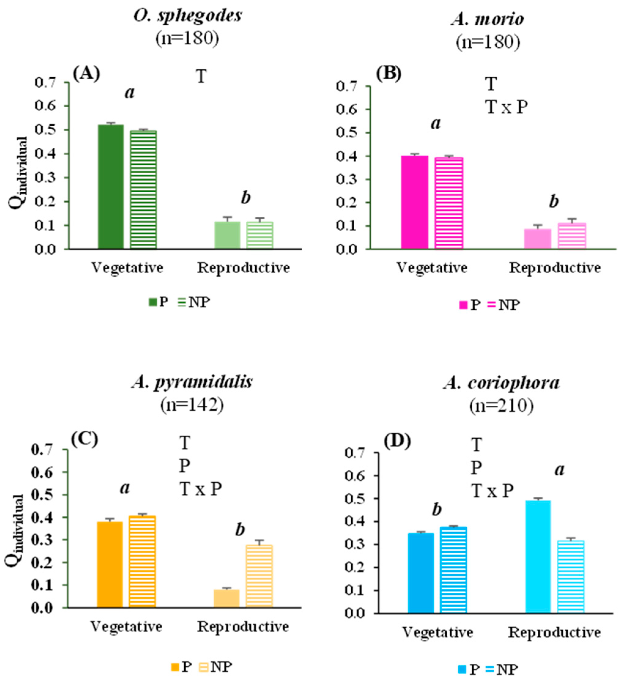 Plants 13 00610 g002
