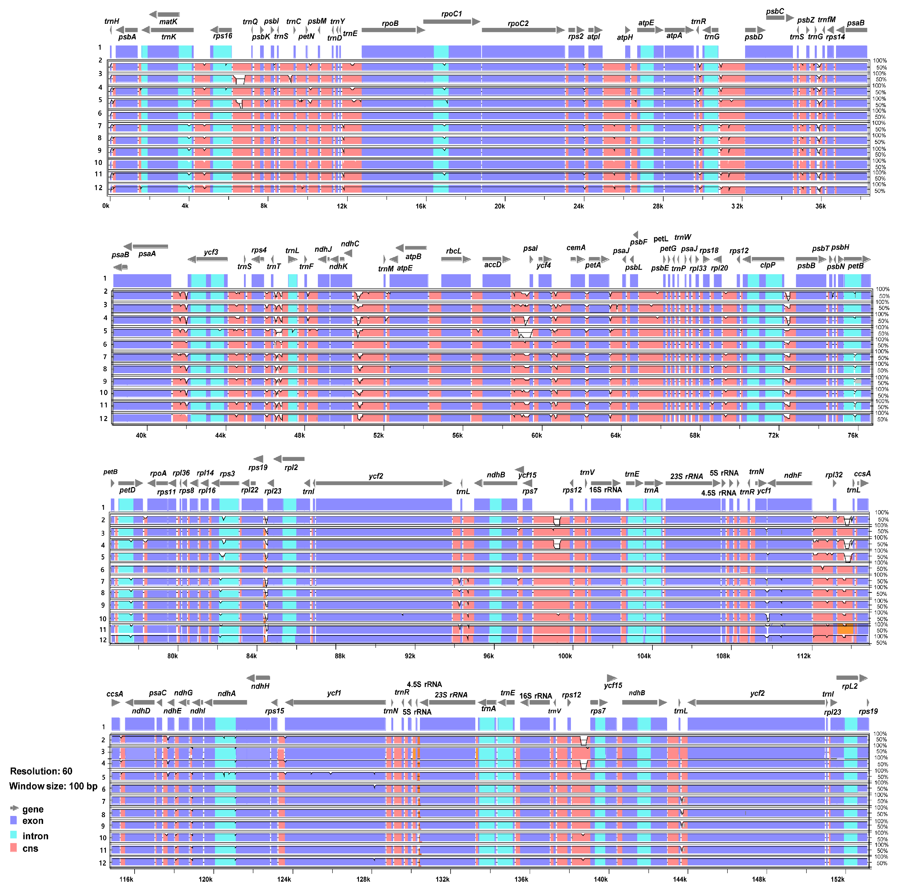 Plants 13 00612 g003