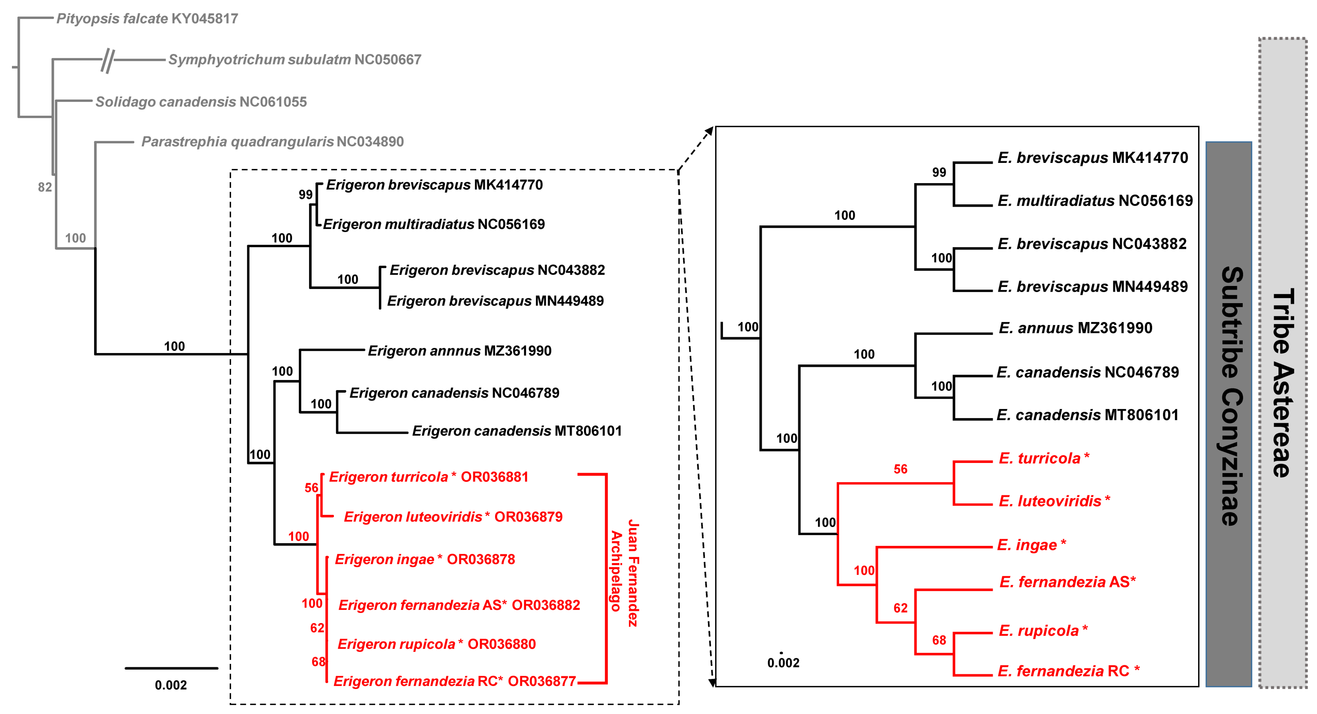 Plants 13 00612 g005