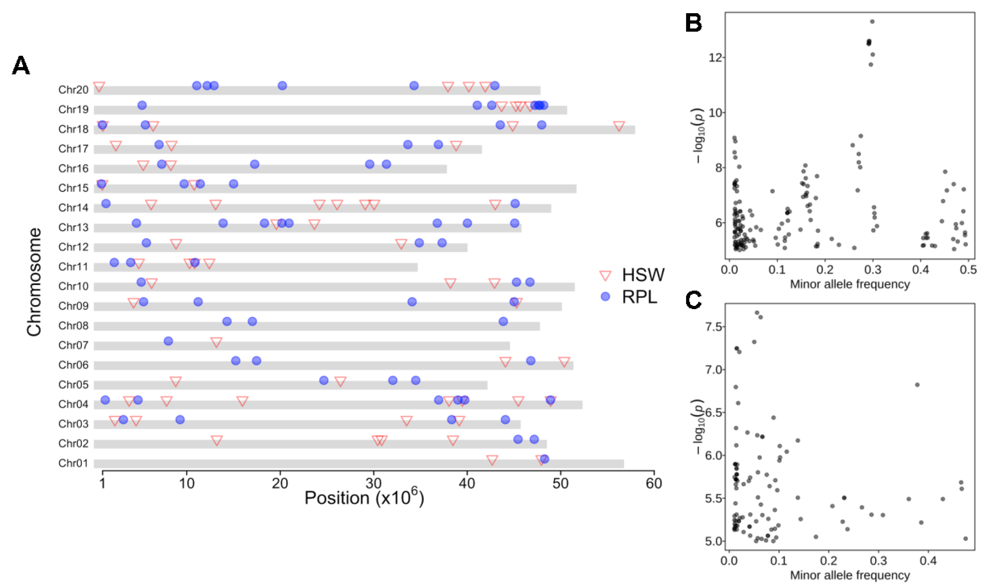 Plants 13 00615 g002