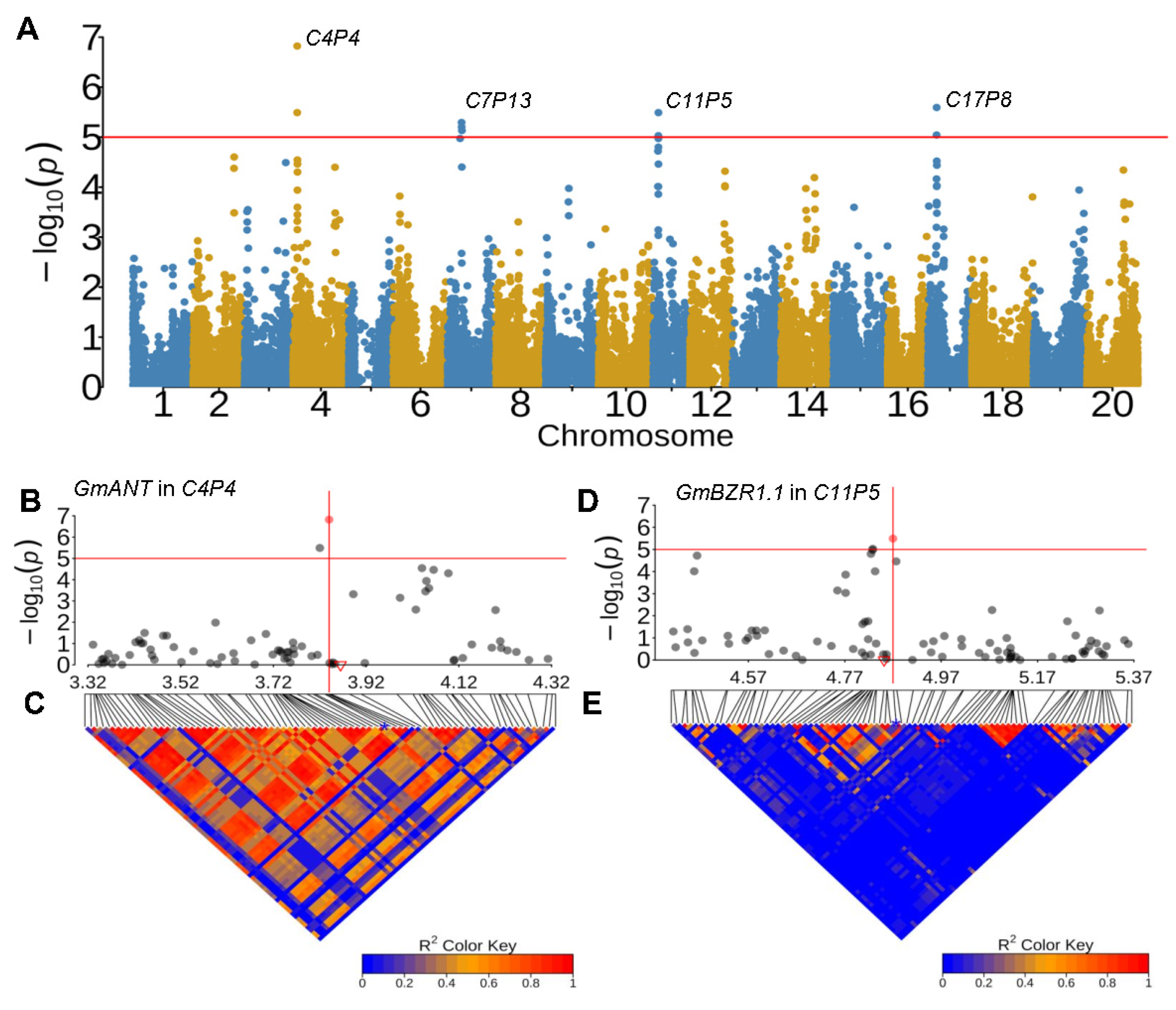 Plants 13 00615 g003
