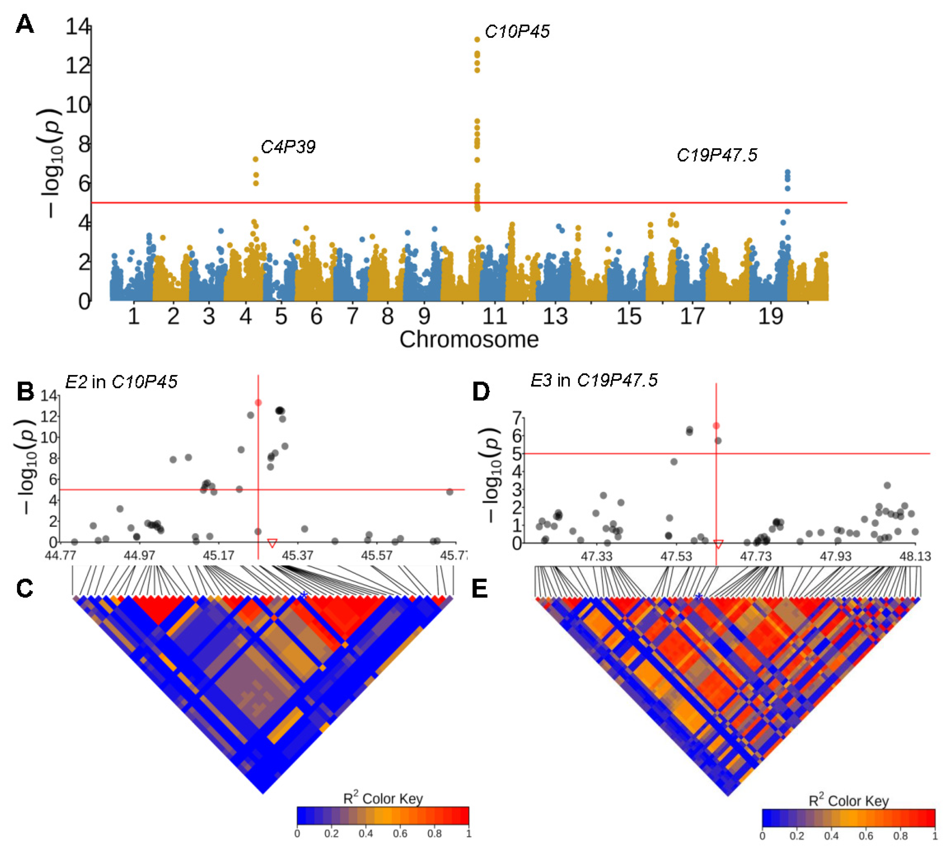 Plants 13 00615 g004