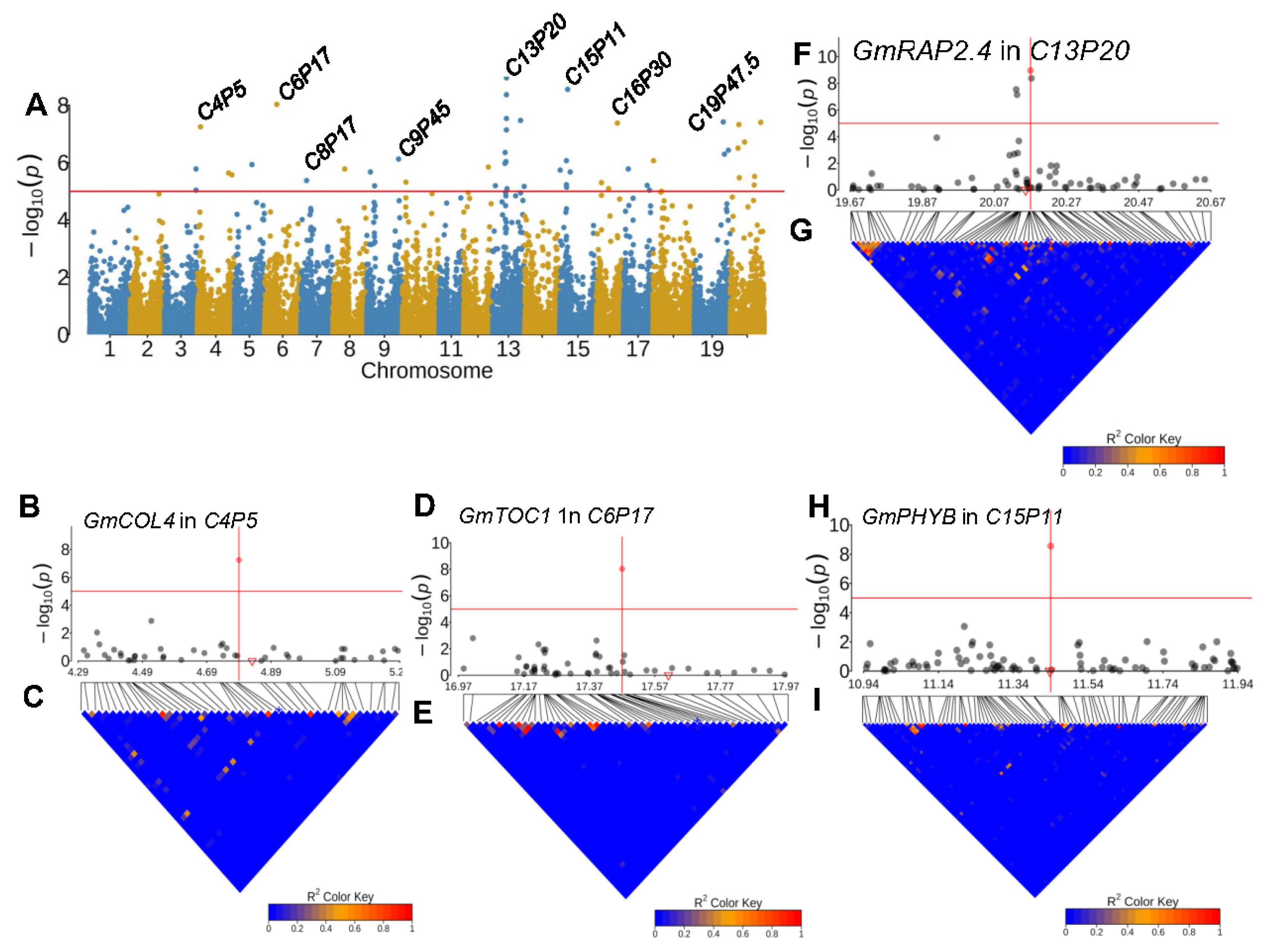 Plants 13 00615 g005