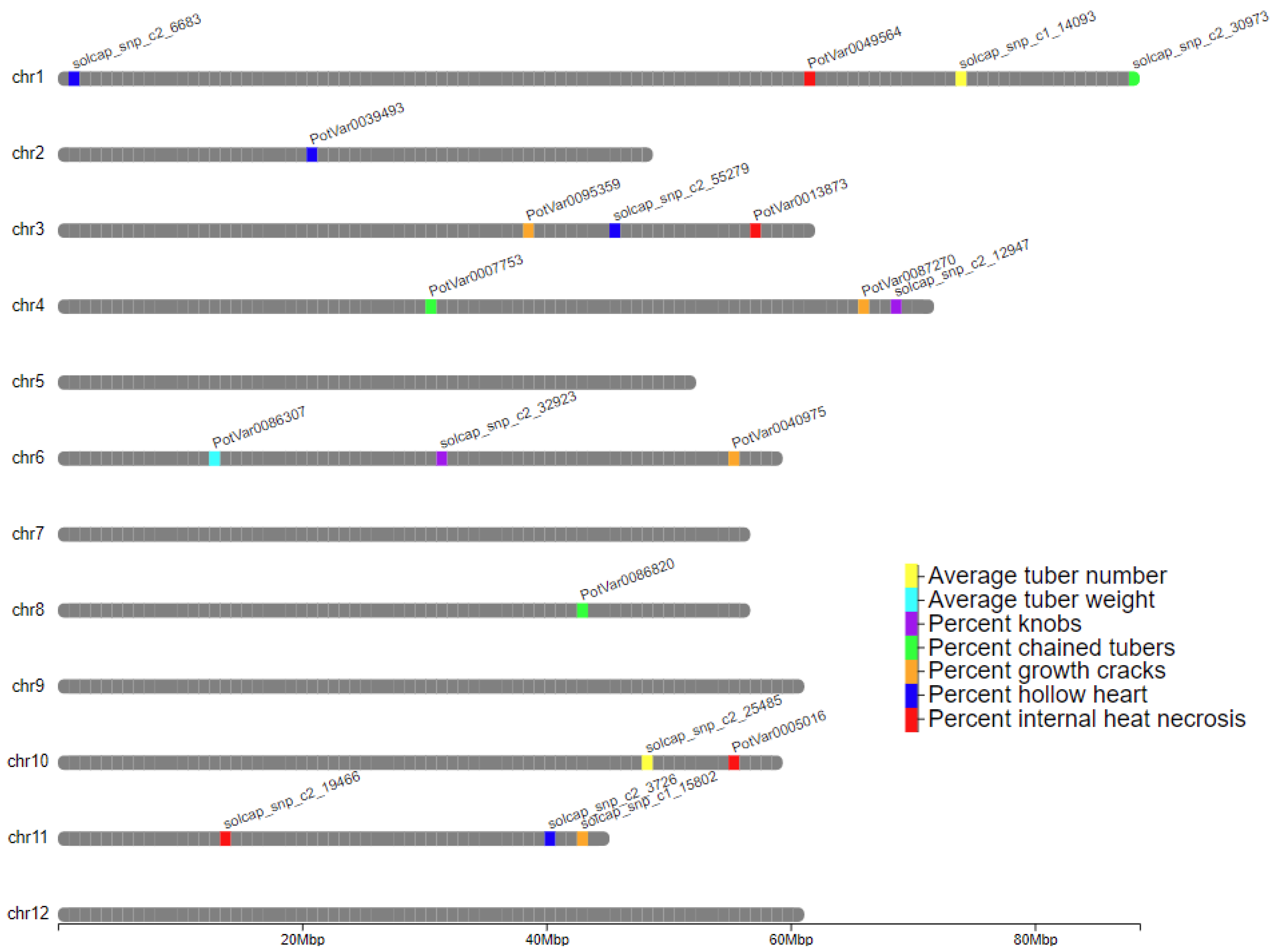 Plants 13 00616 g002