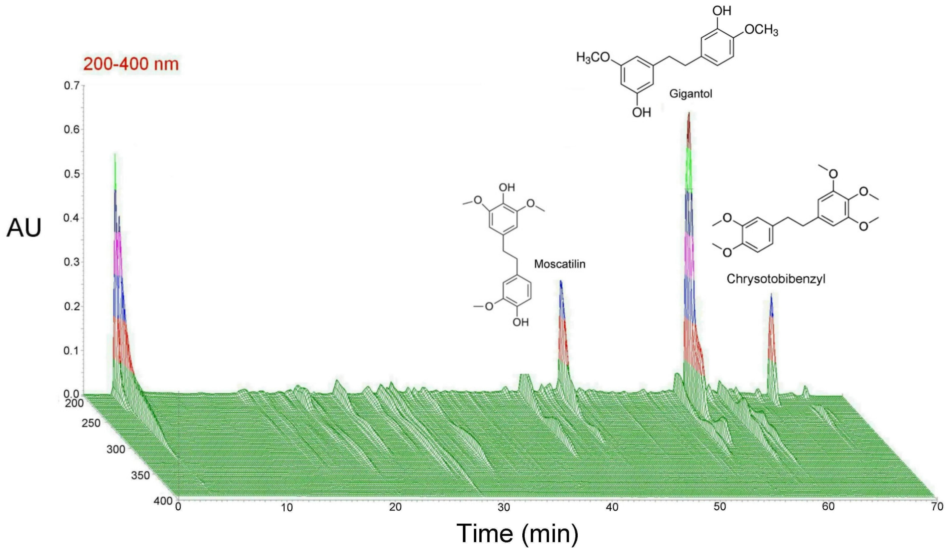 Plants 13 00617 g002
