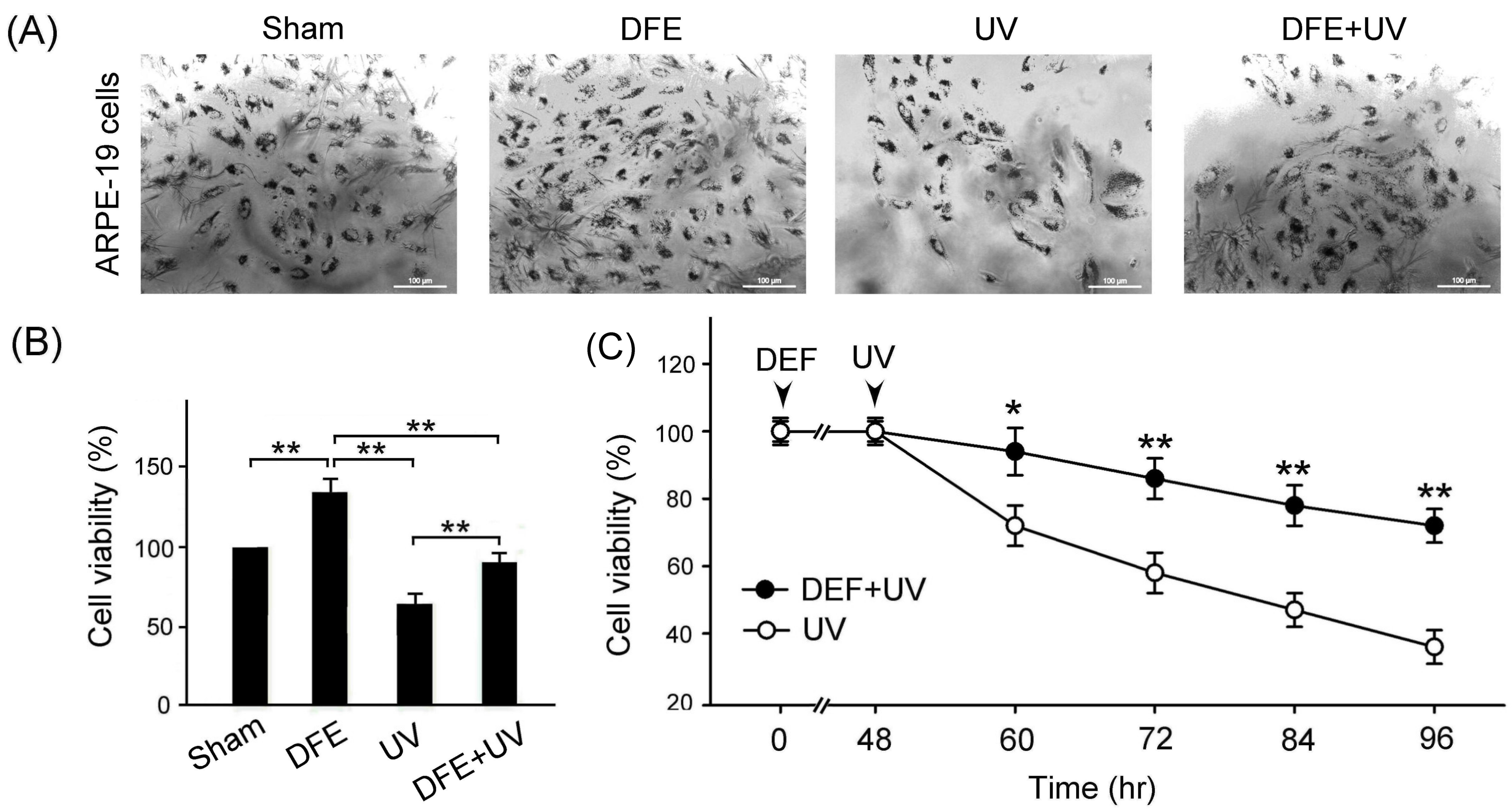 Plants 13 00617 g004