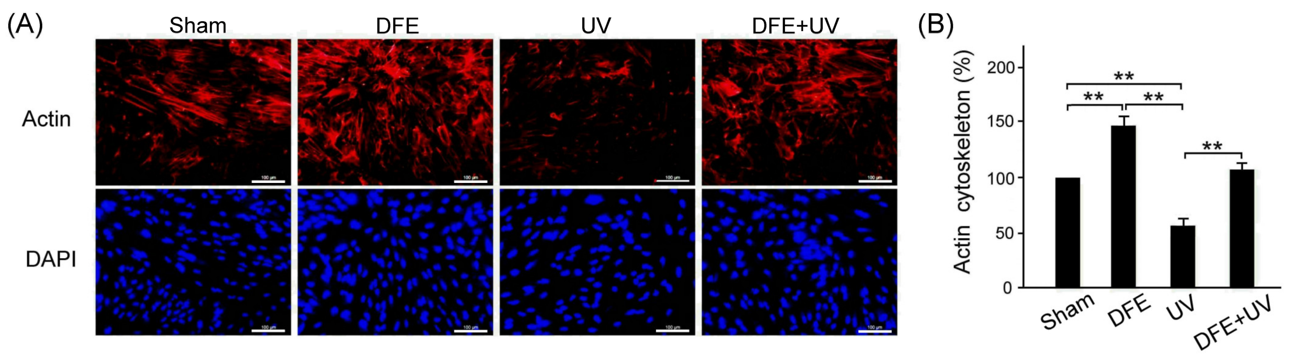 Plants 13 00617 g005