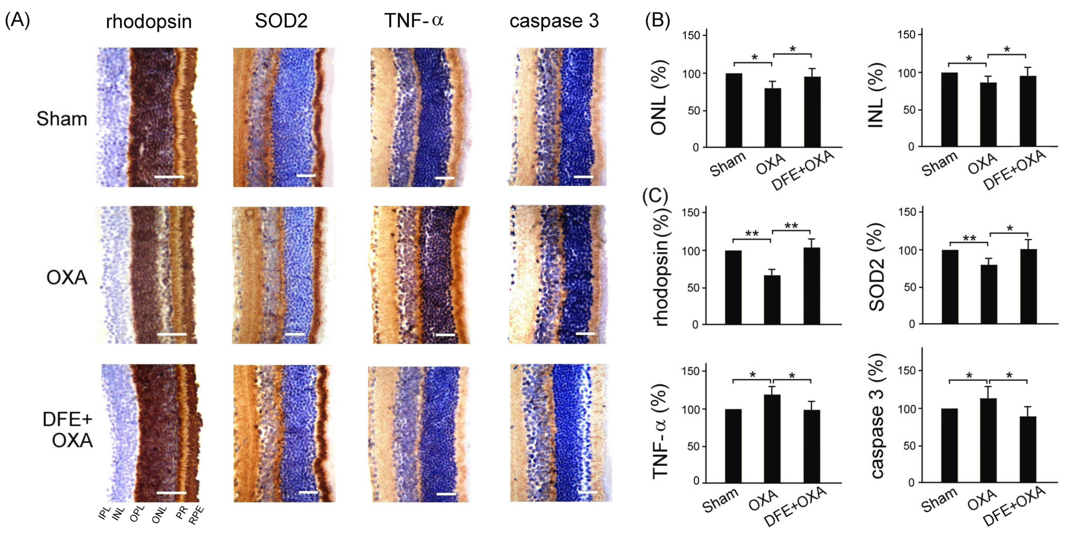 Plants 13 00617 g007