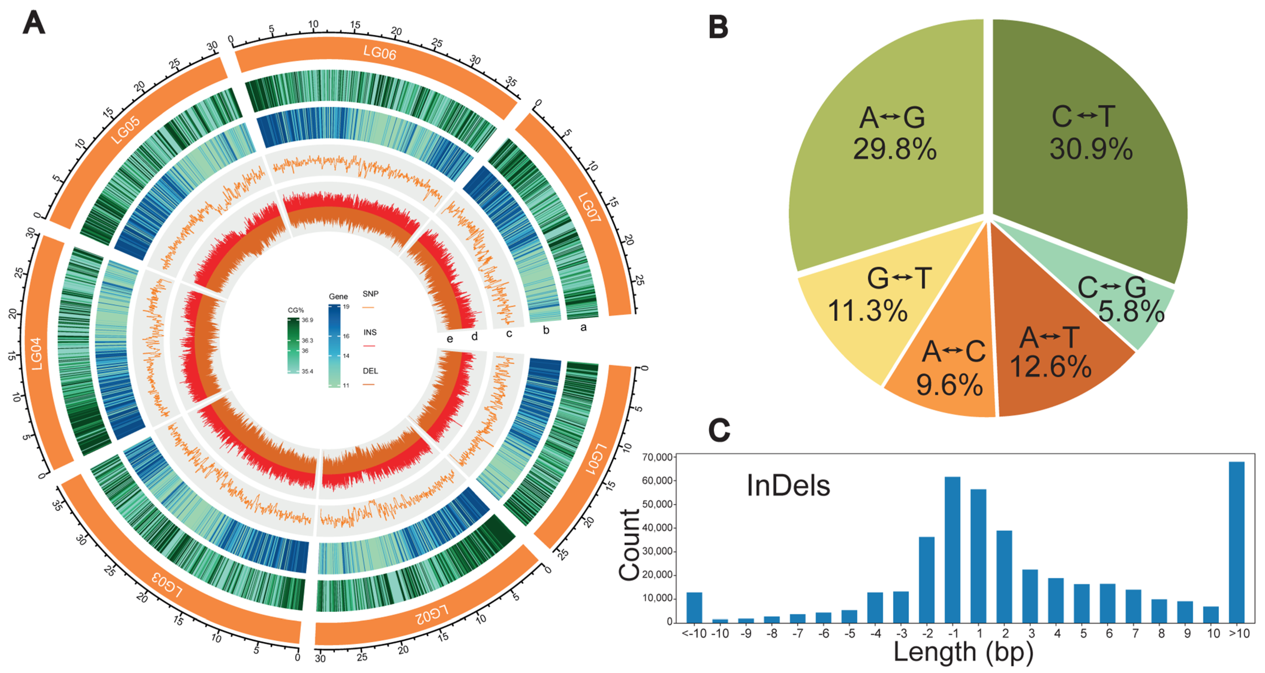 Plants 13 00618 g001
