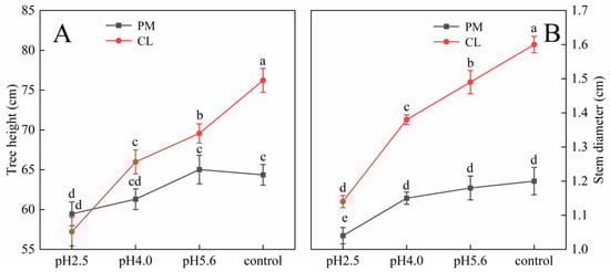 Plants 13 00622 g001