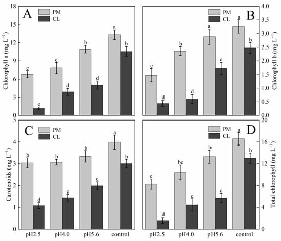 Plants 13 00622 g003