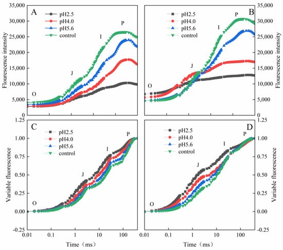 Plants 13 00622 g004
