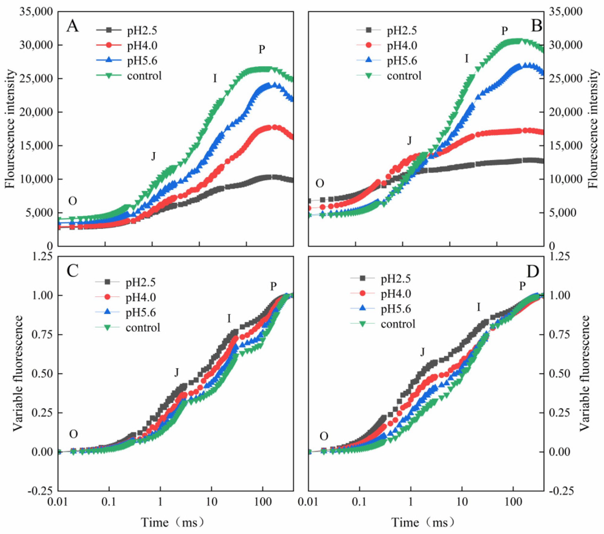 Plants 13 00622 g004