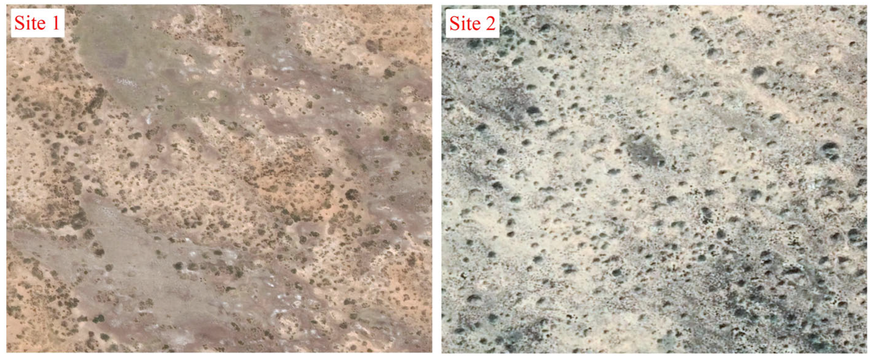 Plants 13 00624 g002