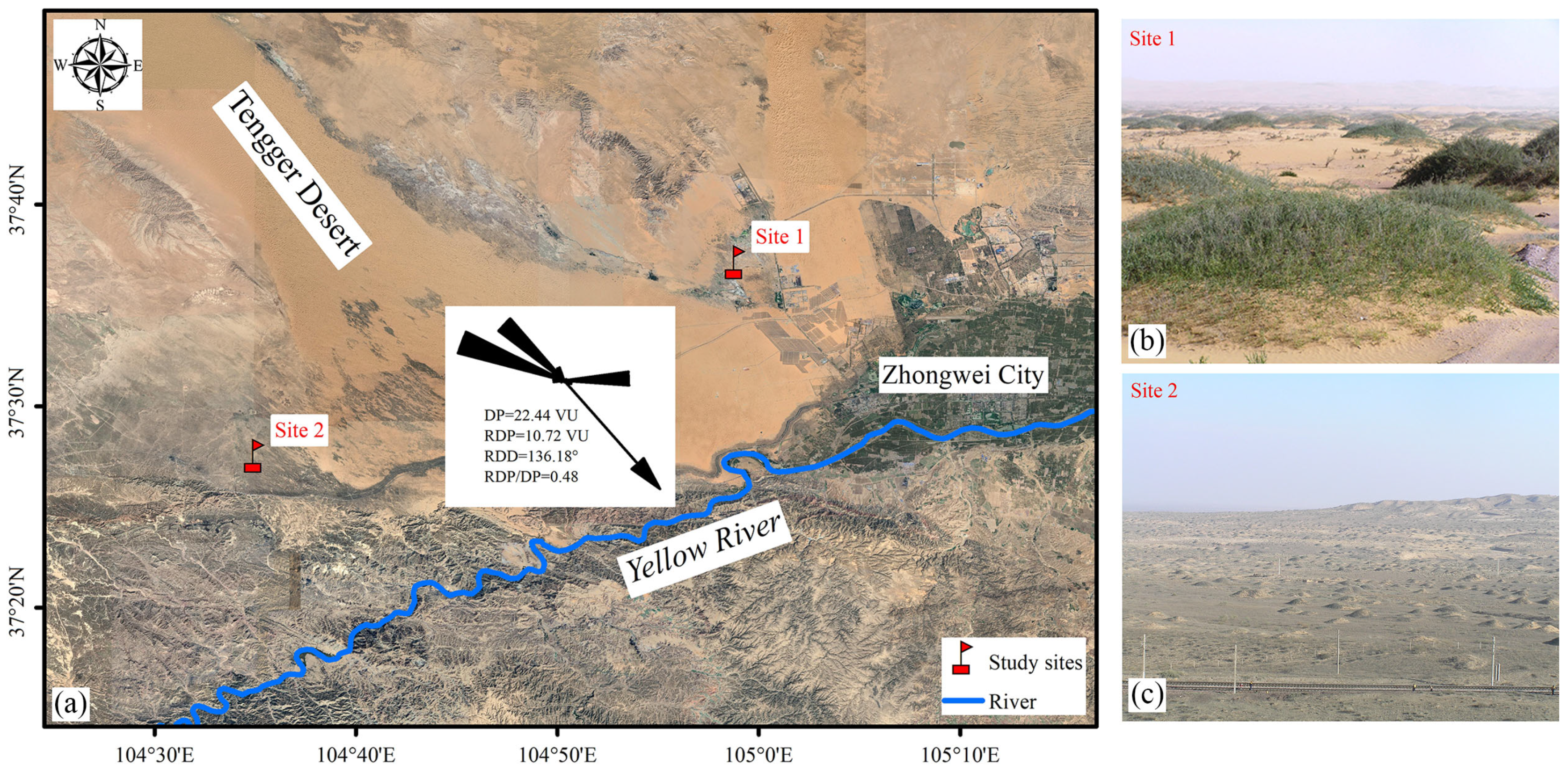 Plants 13 00624 g008
