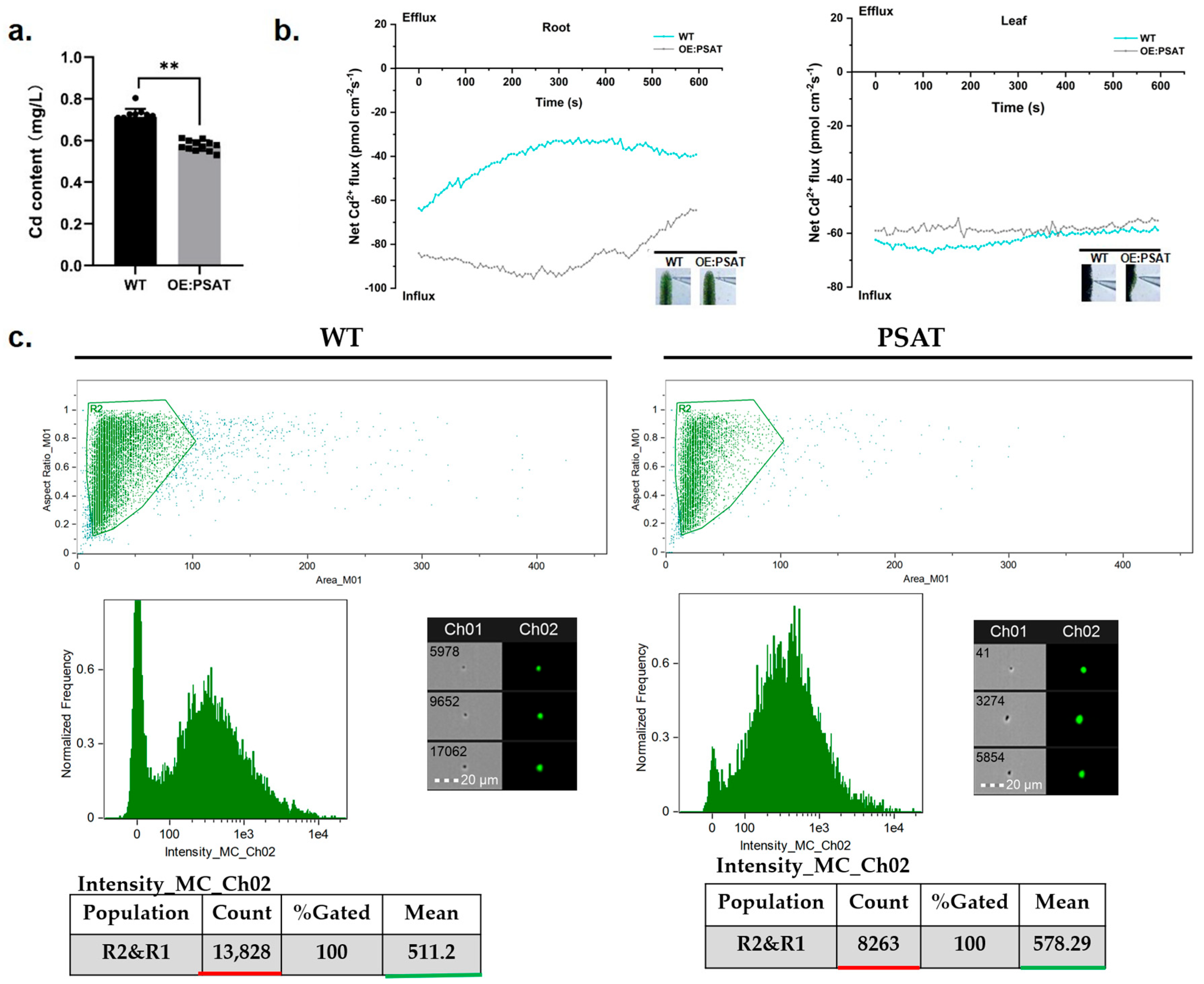 Plants 13 00627 g006