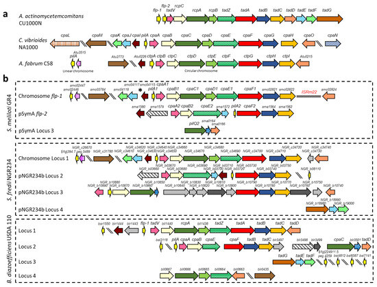 Plants 13 00628 g001