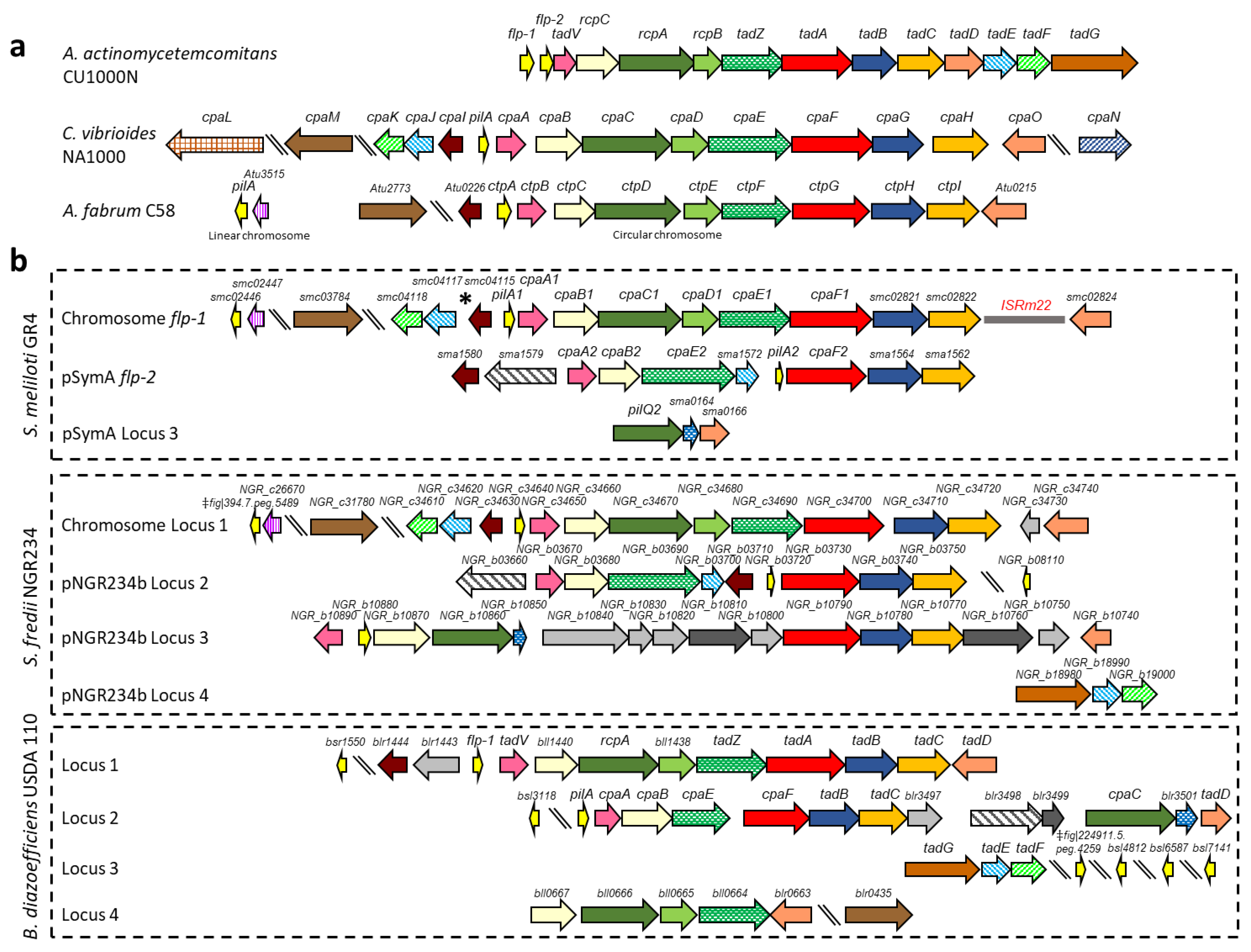 Plants 13 00628 g001