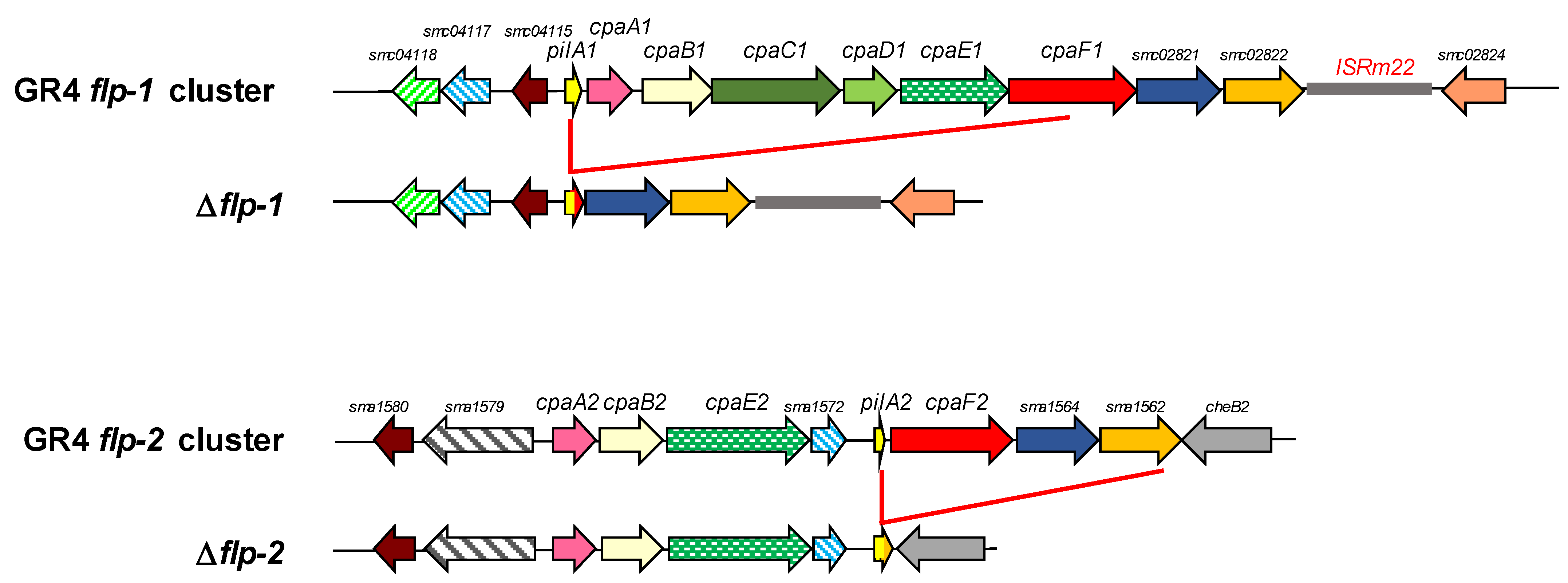 Plants 13 00628 g002
