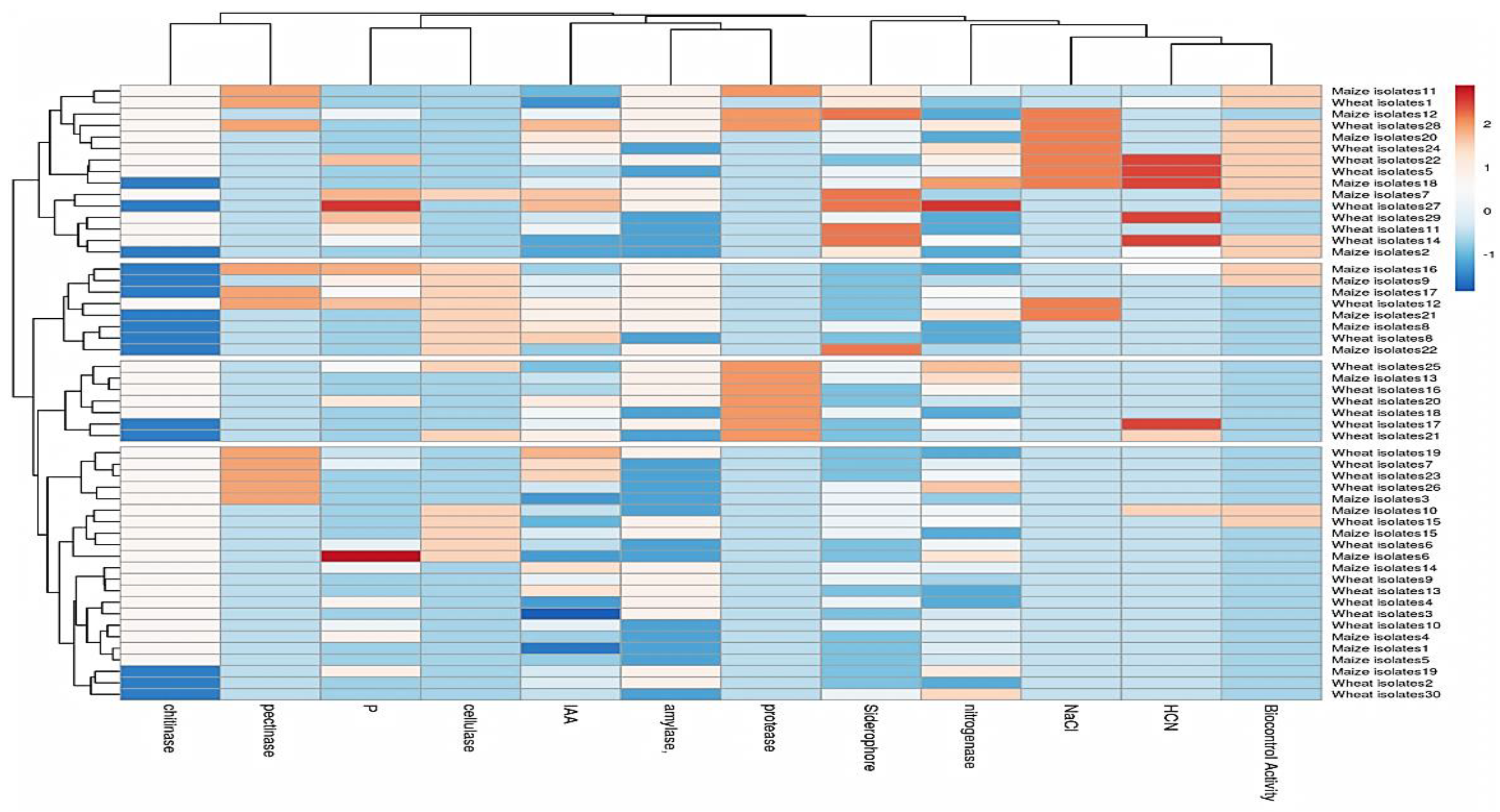 Plants 13 00629 g005