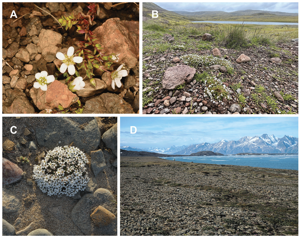 Plants 13 00635 g001