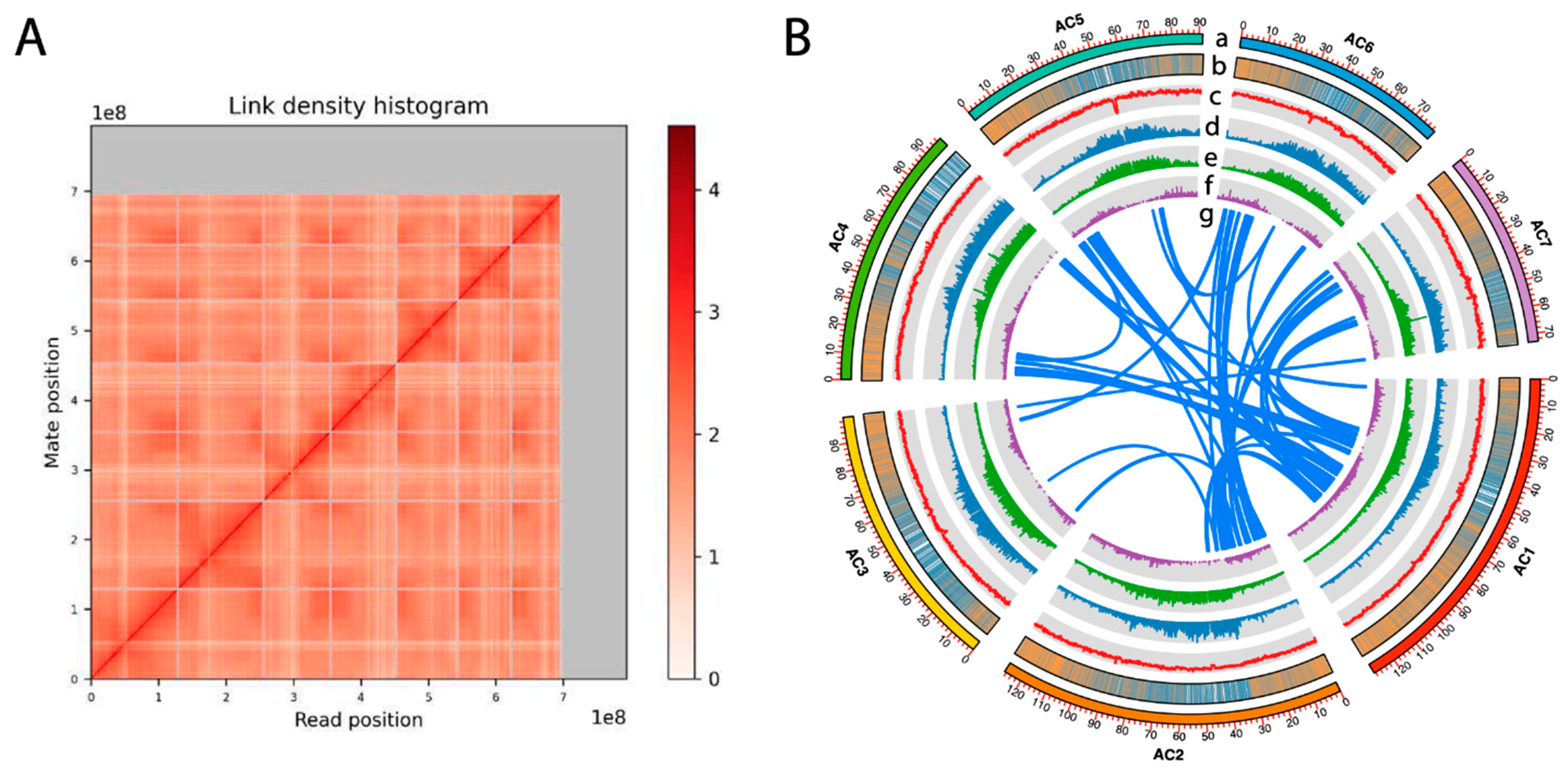 Plants 13 00636 g001
