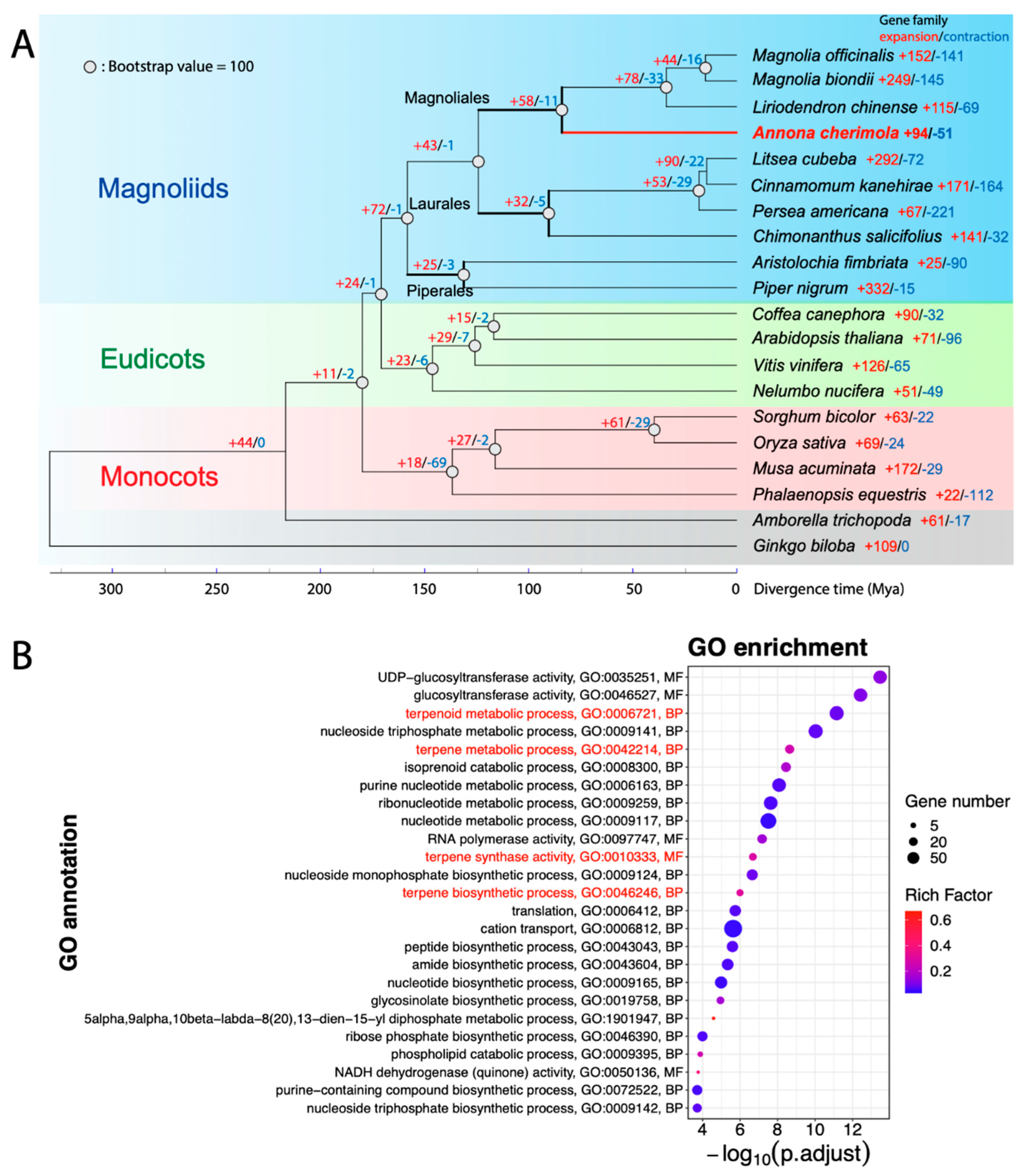 Plants 13 00636 g003