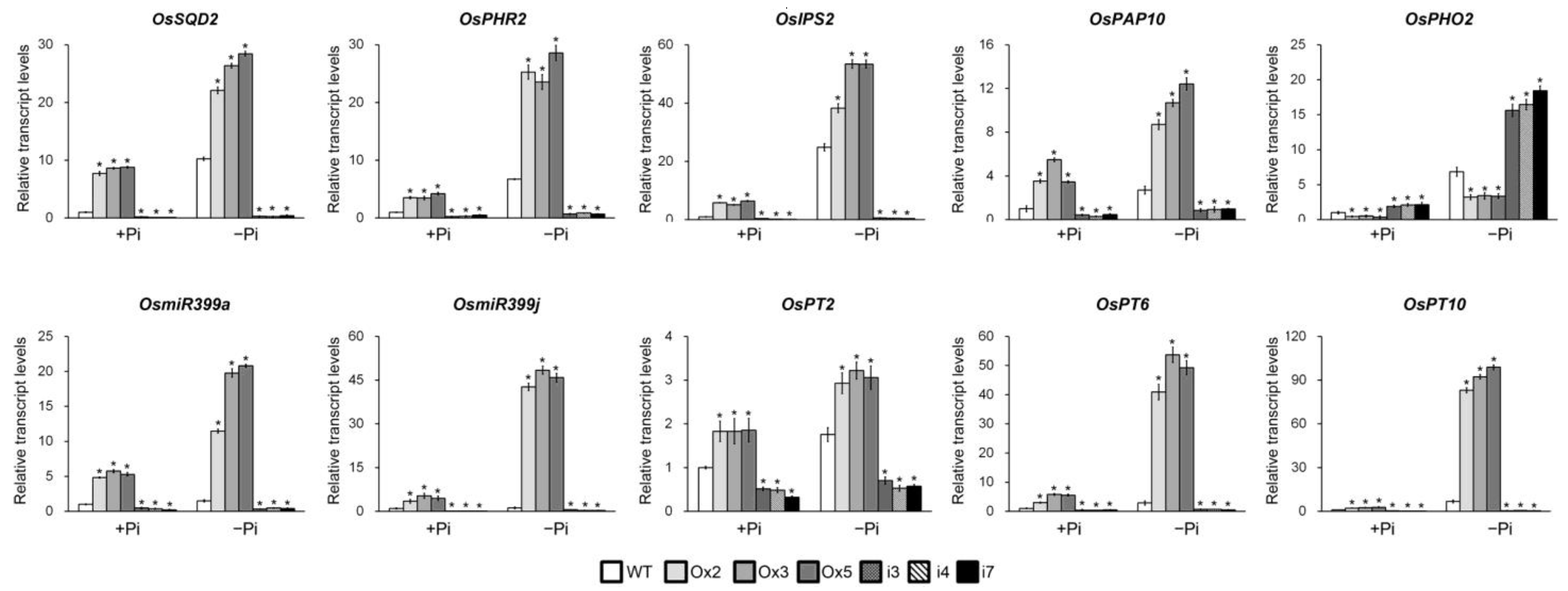 Plants 13 00637 g003