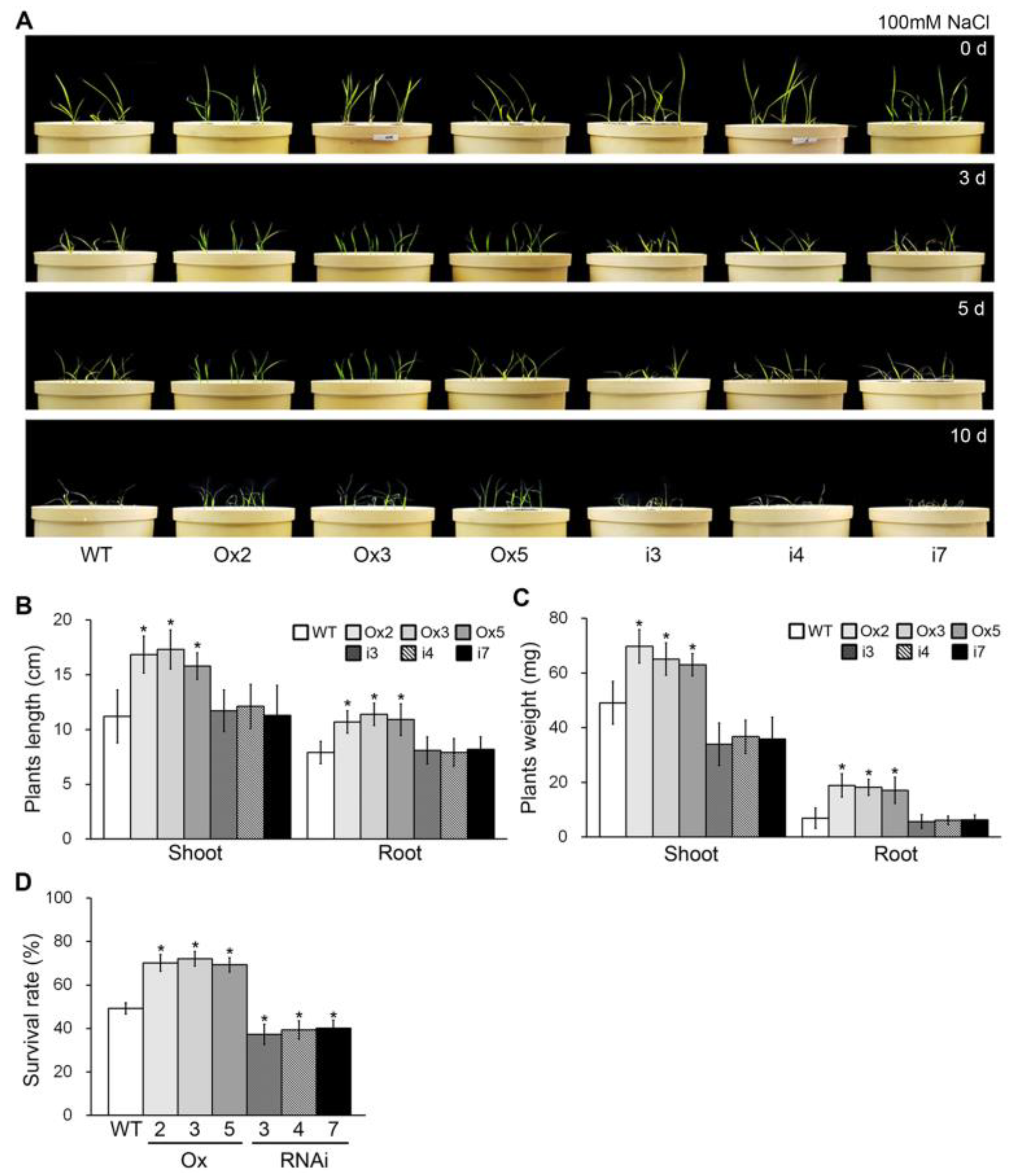 Plants 13 00637 g004
