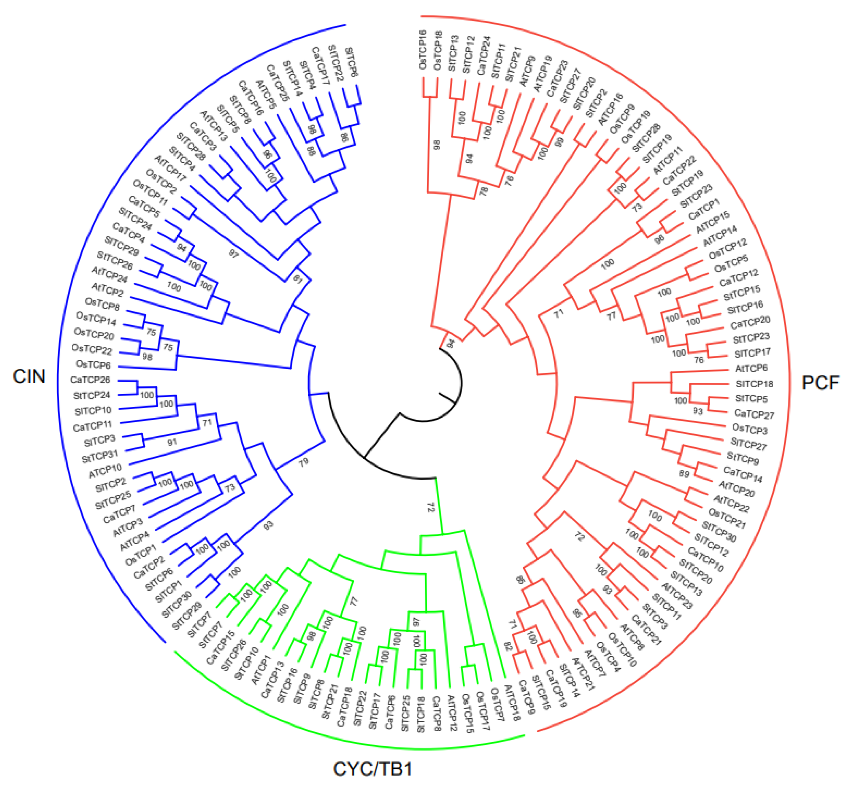 Plants 13 00641 g001