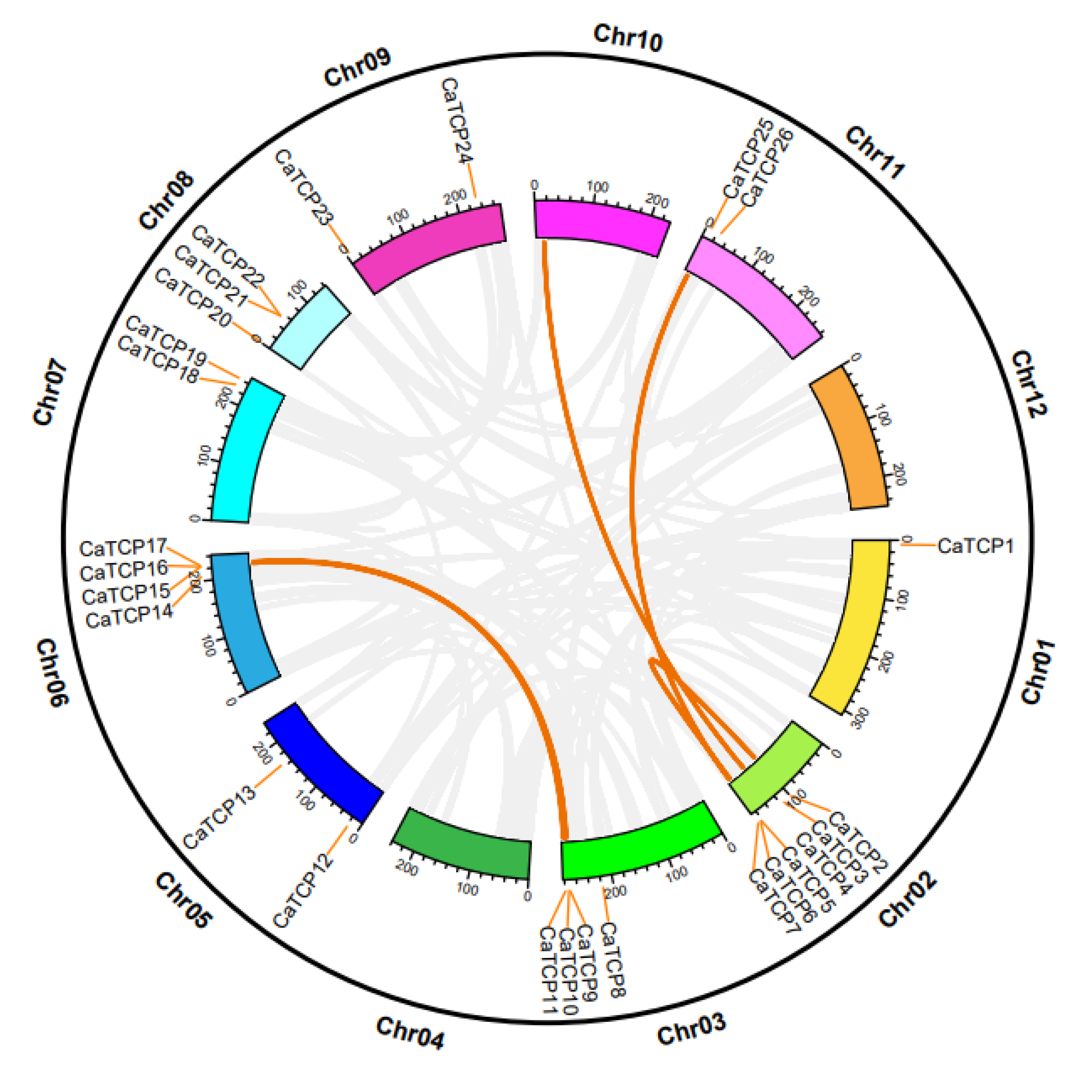 Plants 13 00641 g003