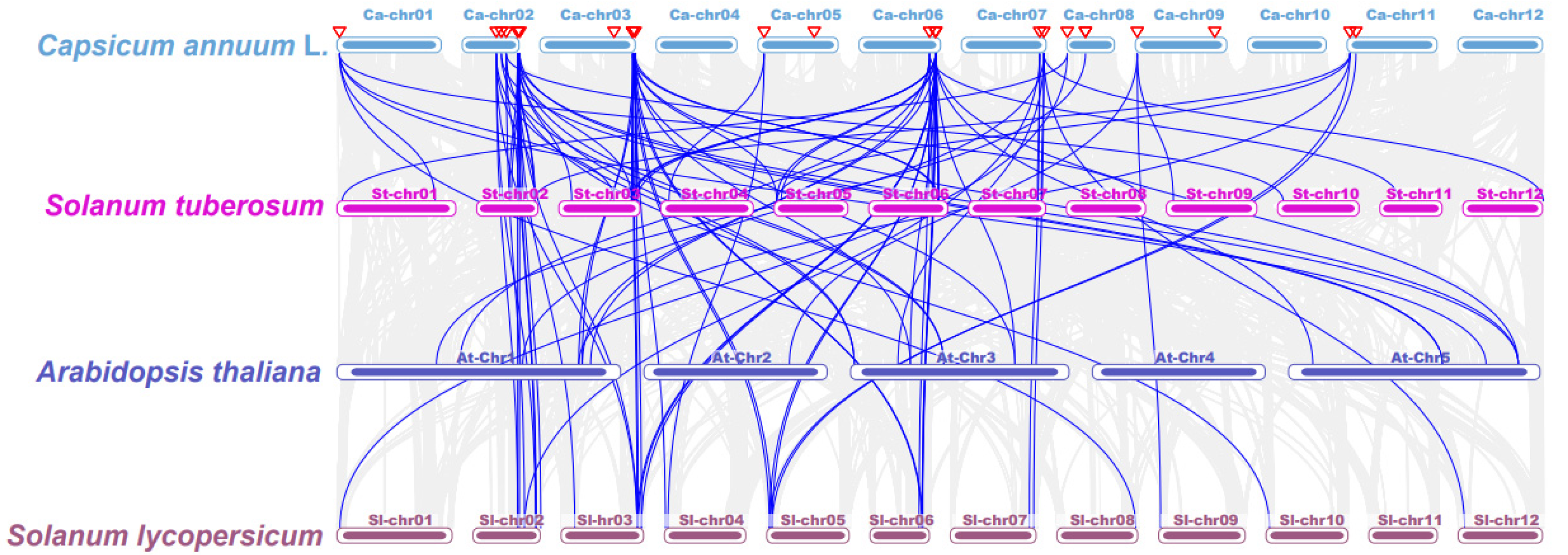 Plants 13 00641 g004