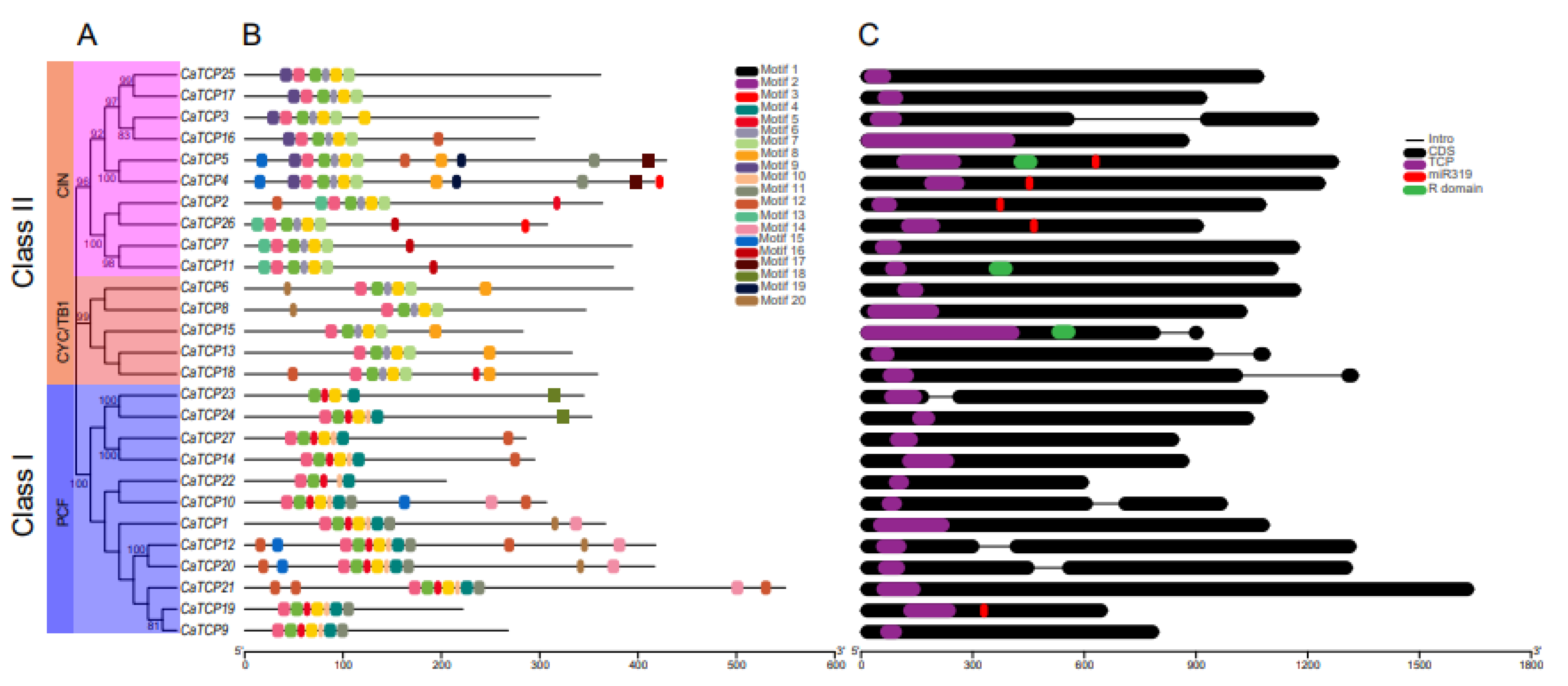 Plants 13 00641 g005