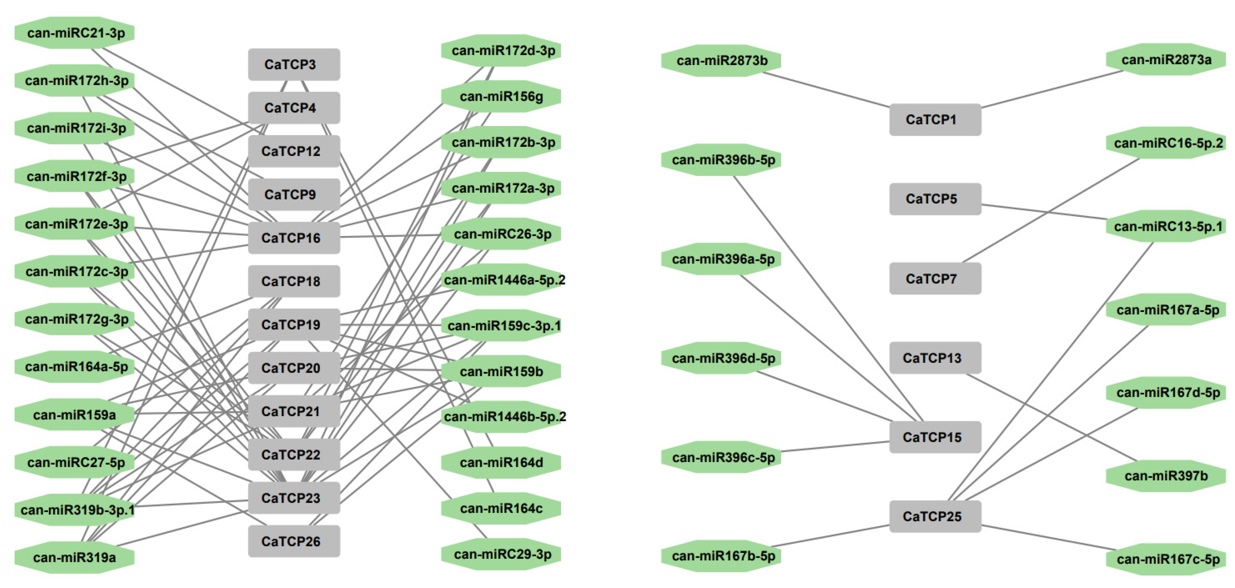 Plants 13 00641 g006
