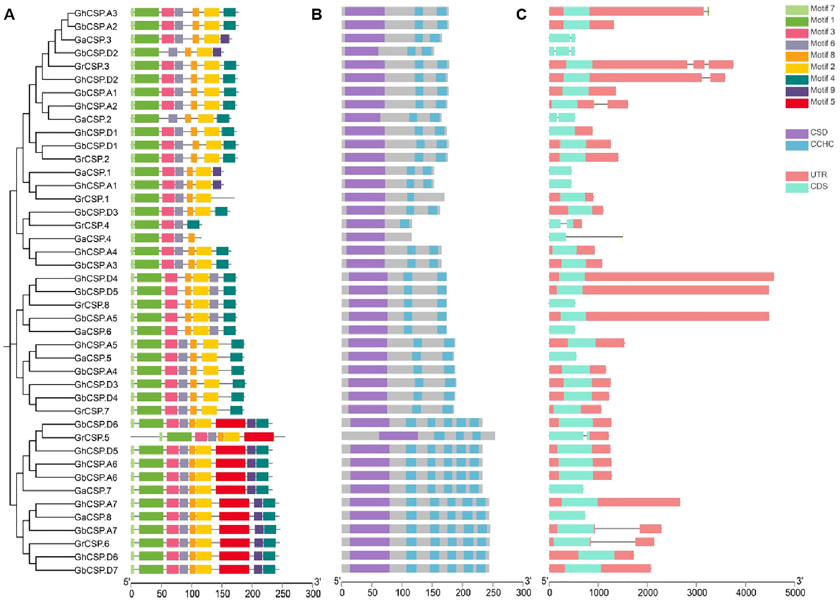 Plants 13 00643 g002 Plants 13 00643 g002