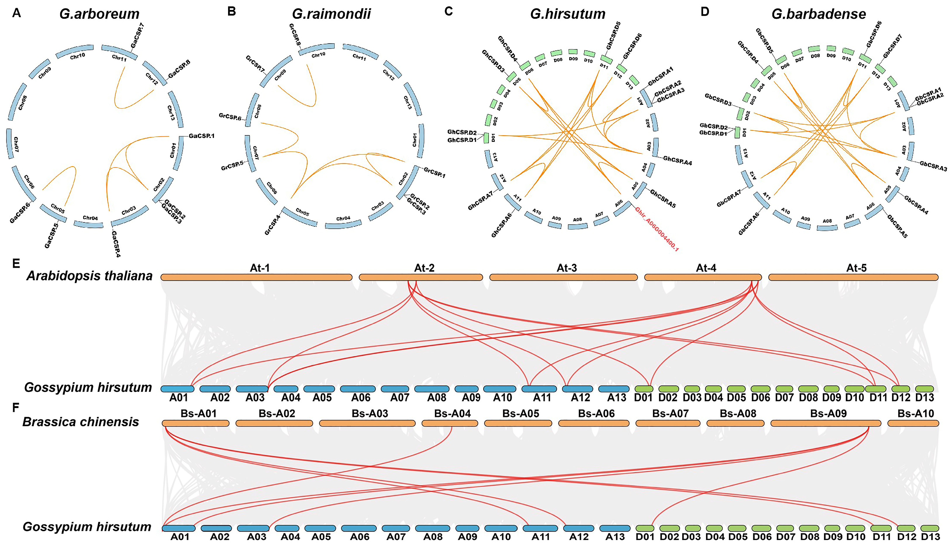 Plants 13 00643 g004 Plants 13 00643 g004